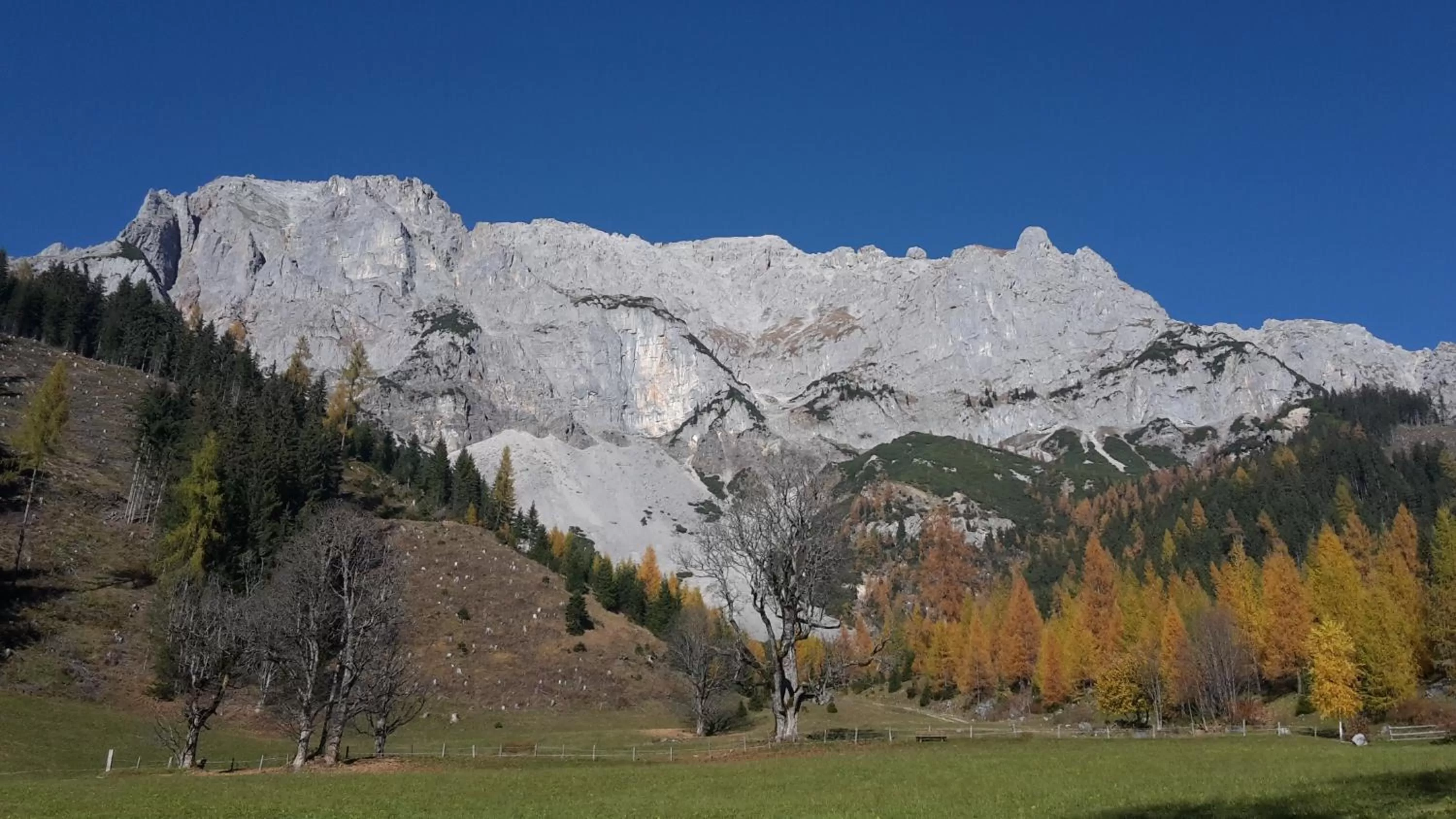 Mountain view in Hotel Neuwirt