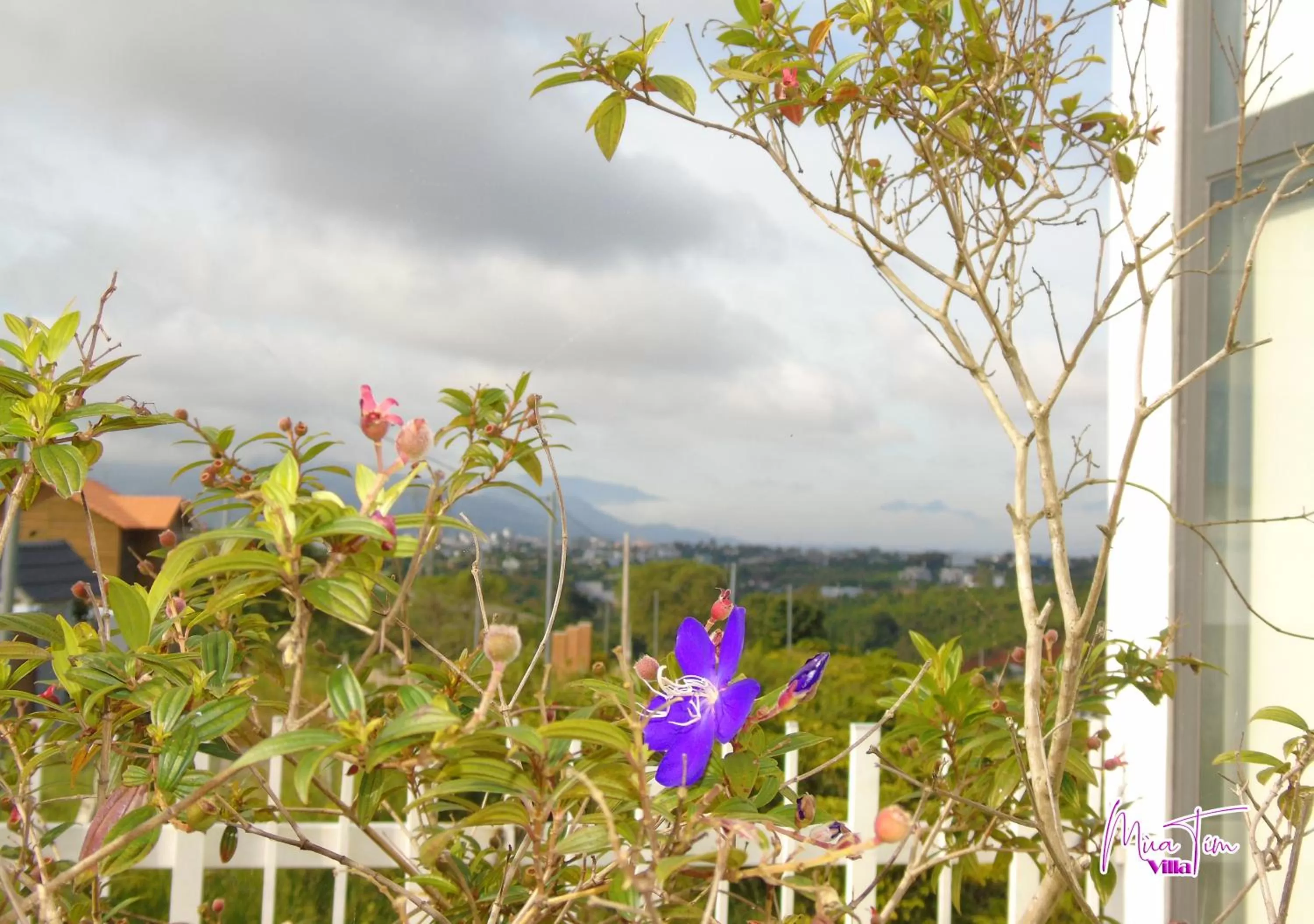 Facade/entrance in Mùa Tím Villa