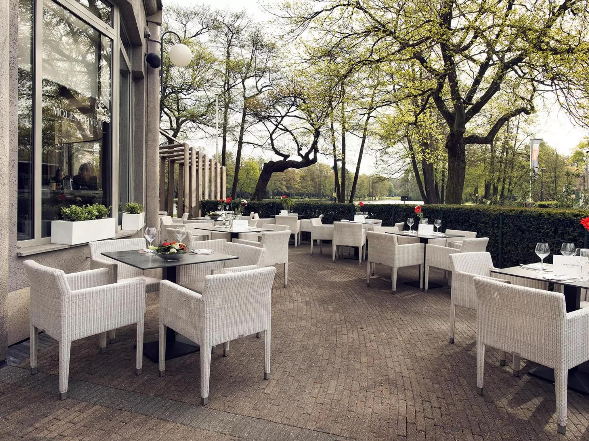 Balcony/Terrace in M Hotel