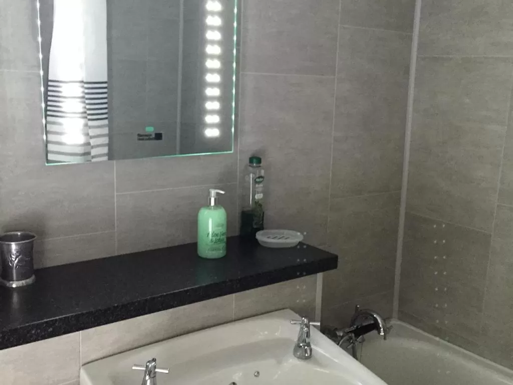 Bathroom in Lisnafillan Lodge