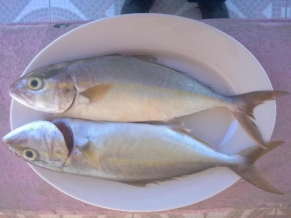 Food in Sunrise Hotel