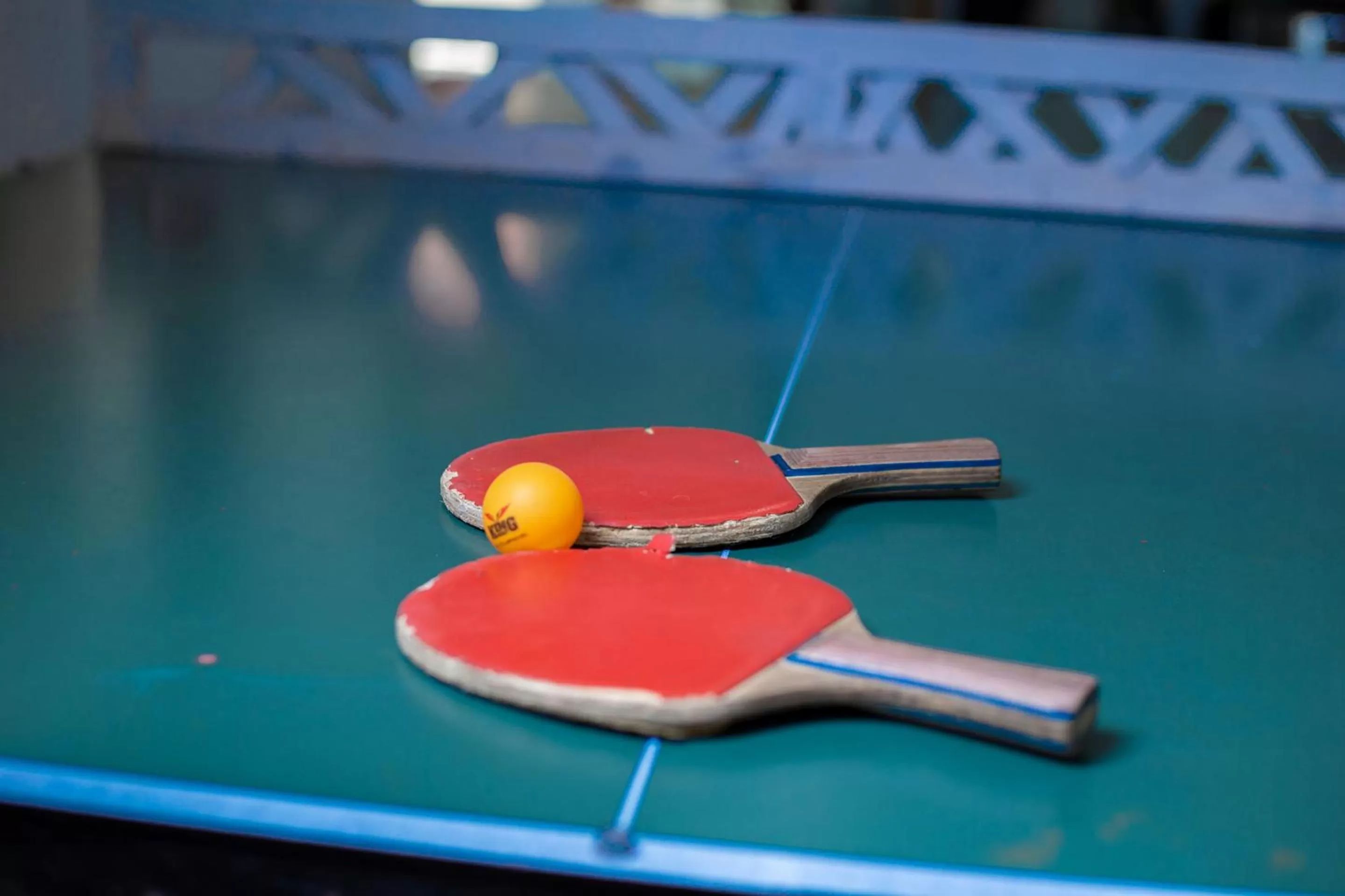 Activities in Best Western Jangwani Sea Breeze Resort