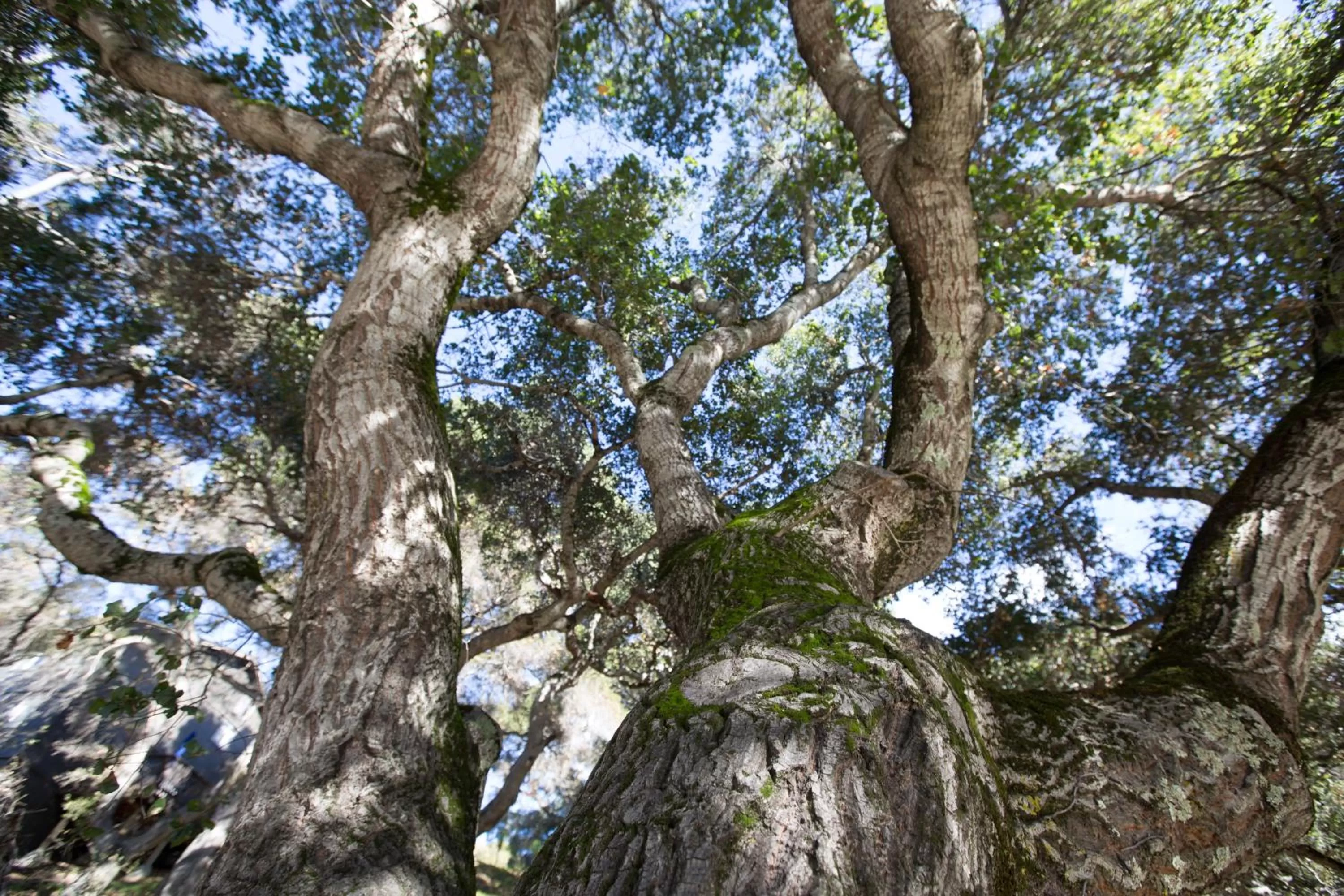 Natural landscape in Hidden Valley Inn