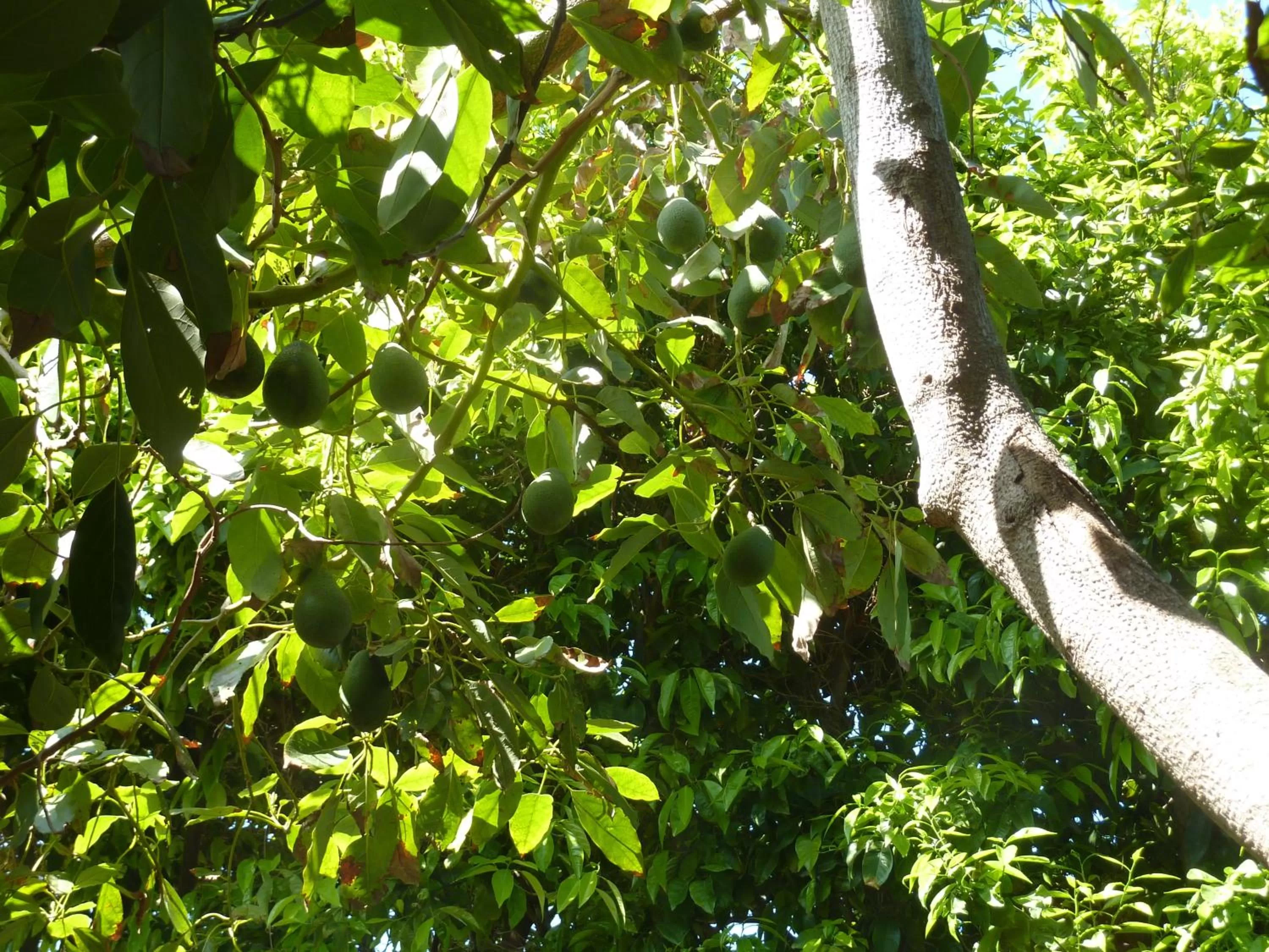 Other in Aphrodite Beach Hotel