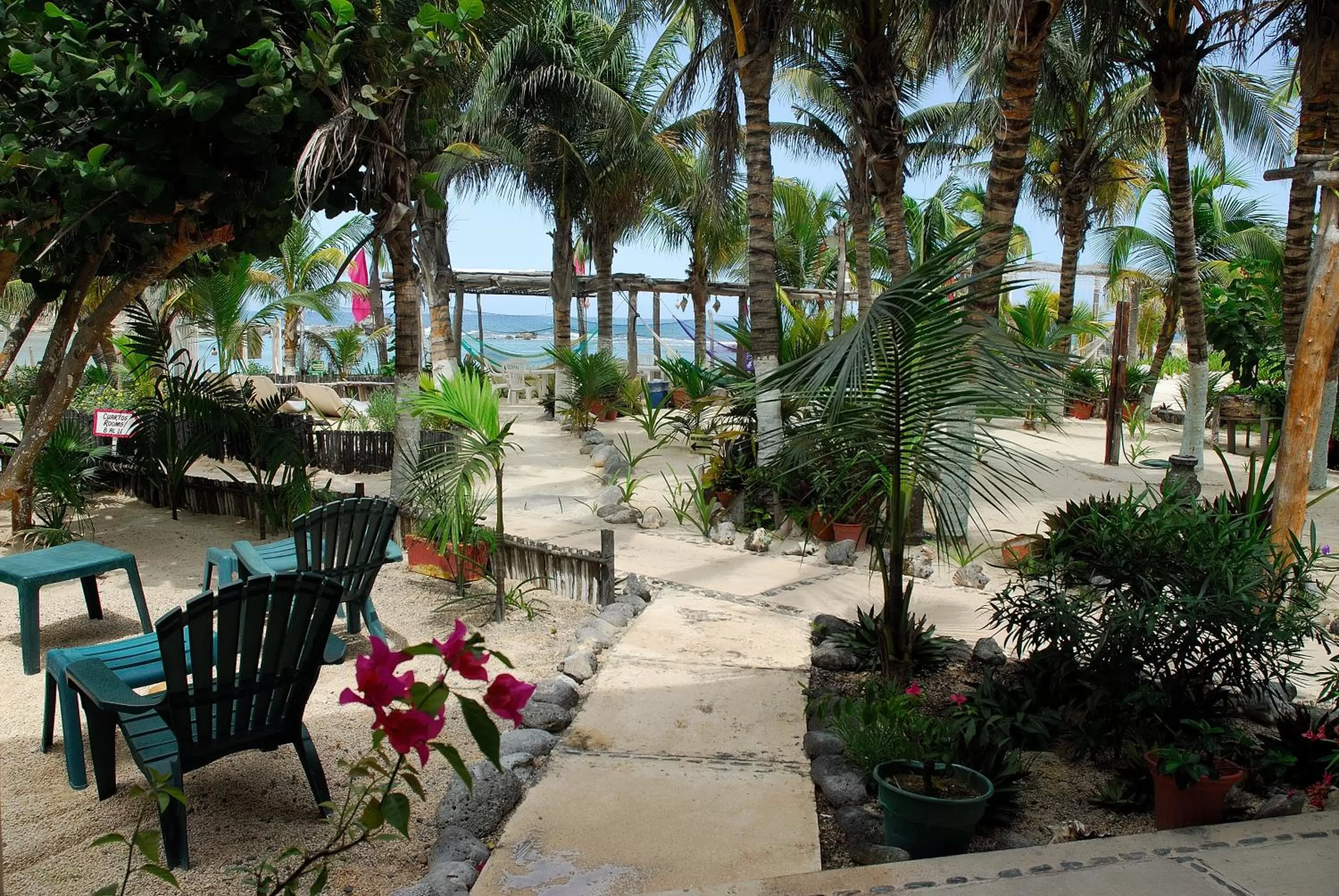 Garden in Hotel Villa Kiin