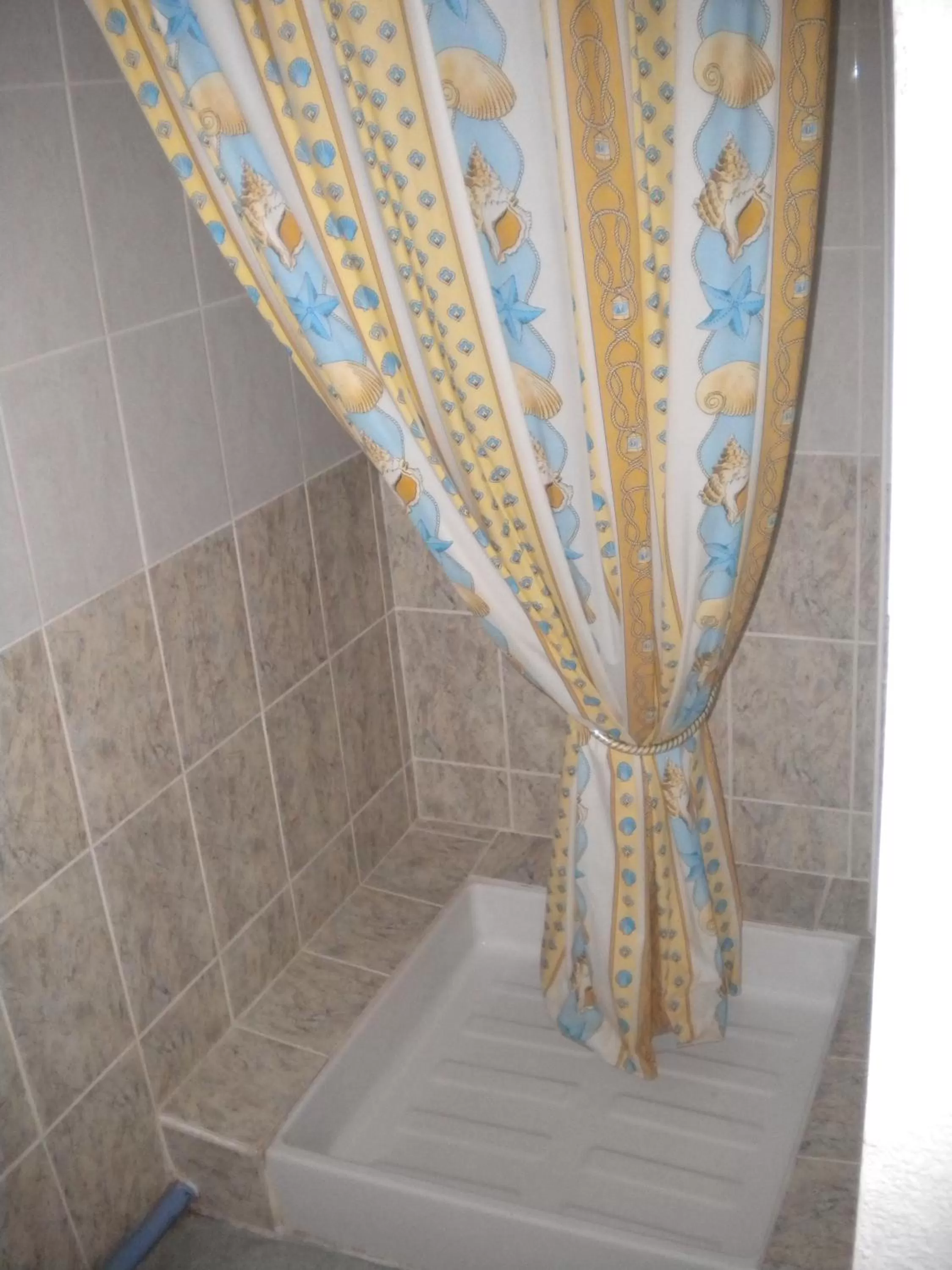 Shower in Hôtel L'Acropole