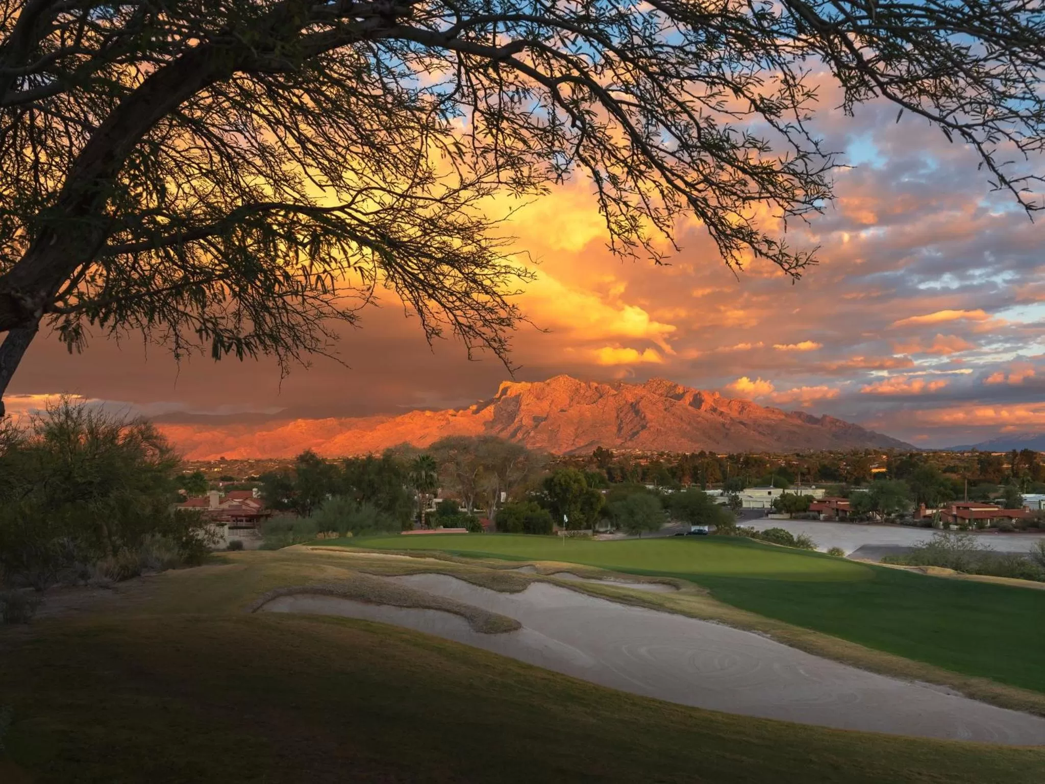 Golfcourse in Omni Tucson National Resort & Spa
