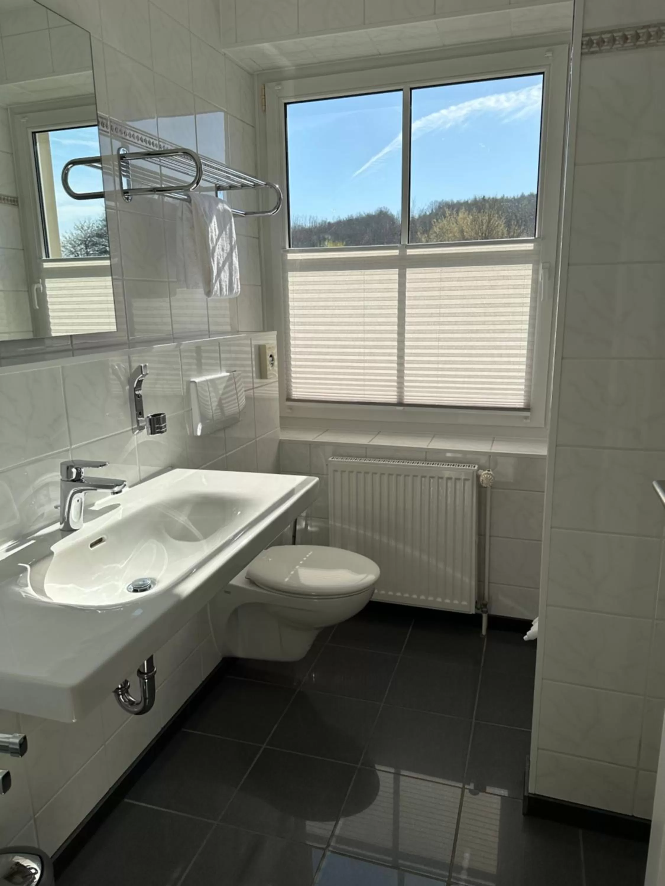 Bathroom in Hotel Wittekindsquelle