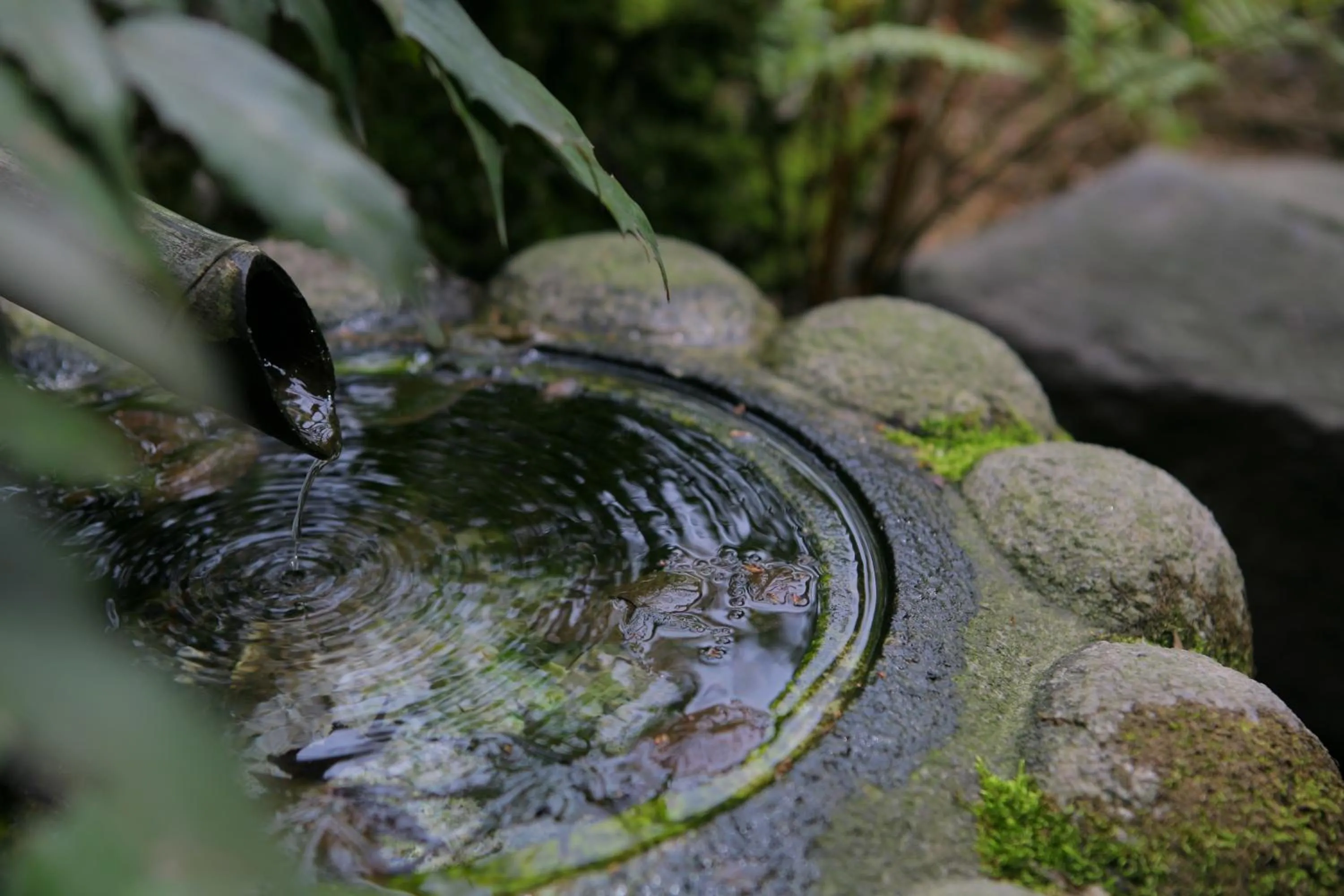 Garden in Grandia Housen