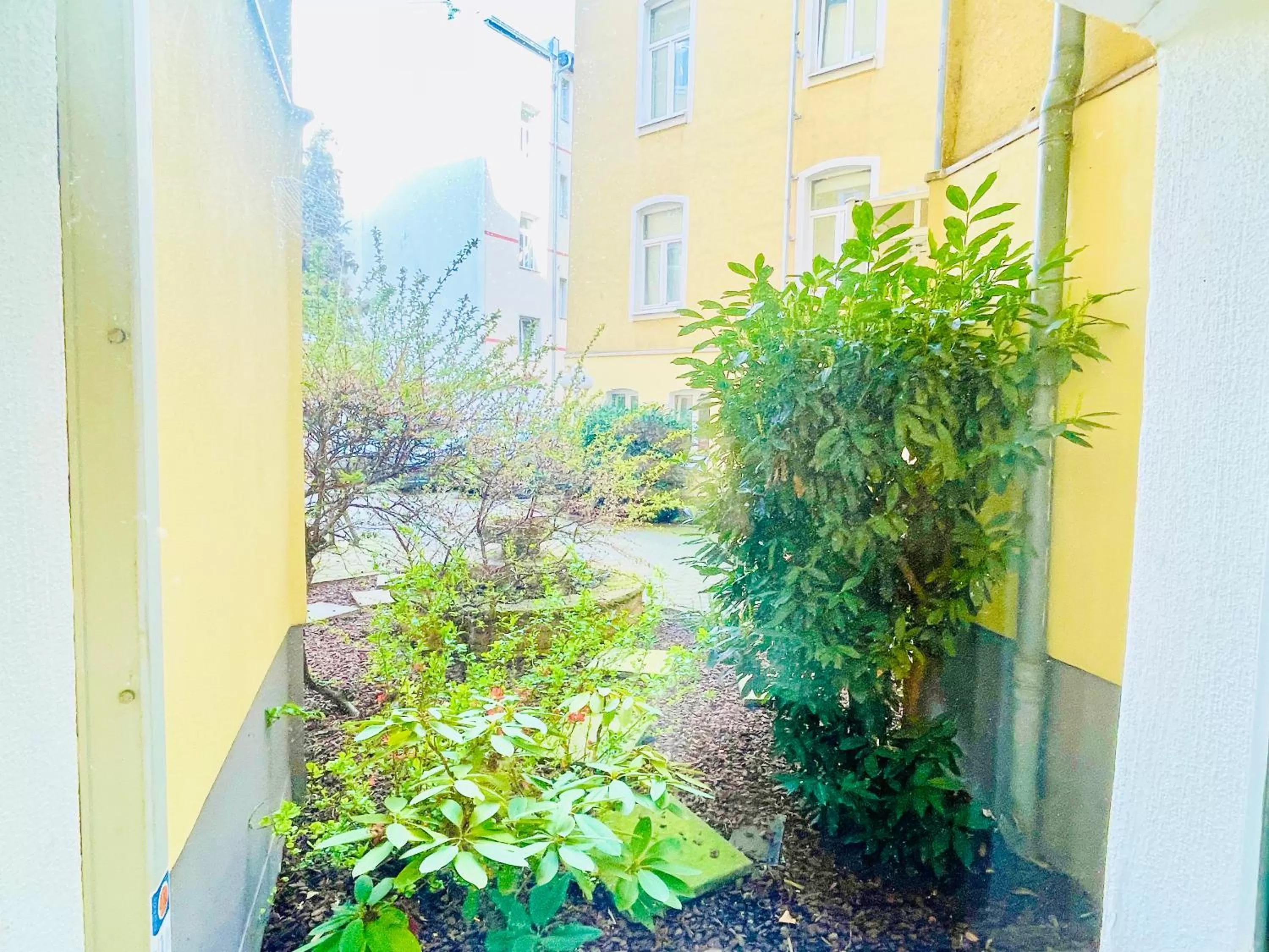 Saale, Marktplatz Zentrum, Apartmenthaus am Dom von Plant Room