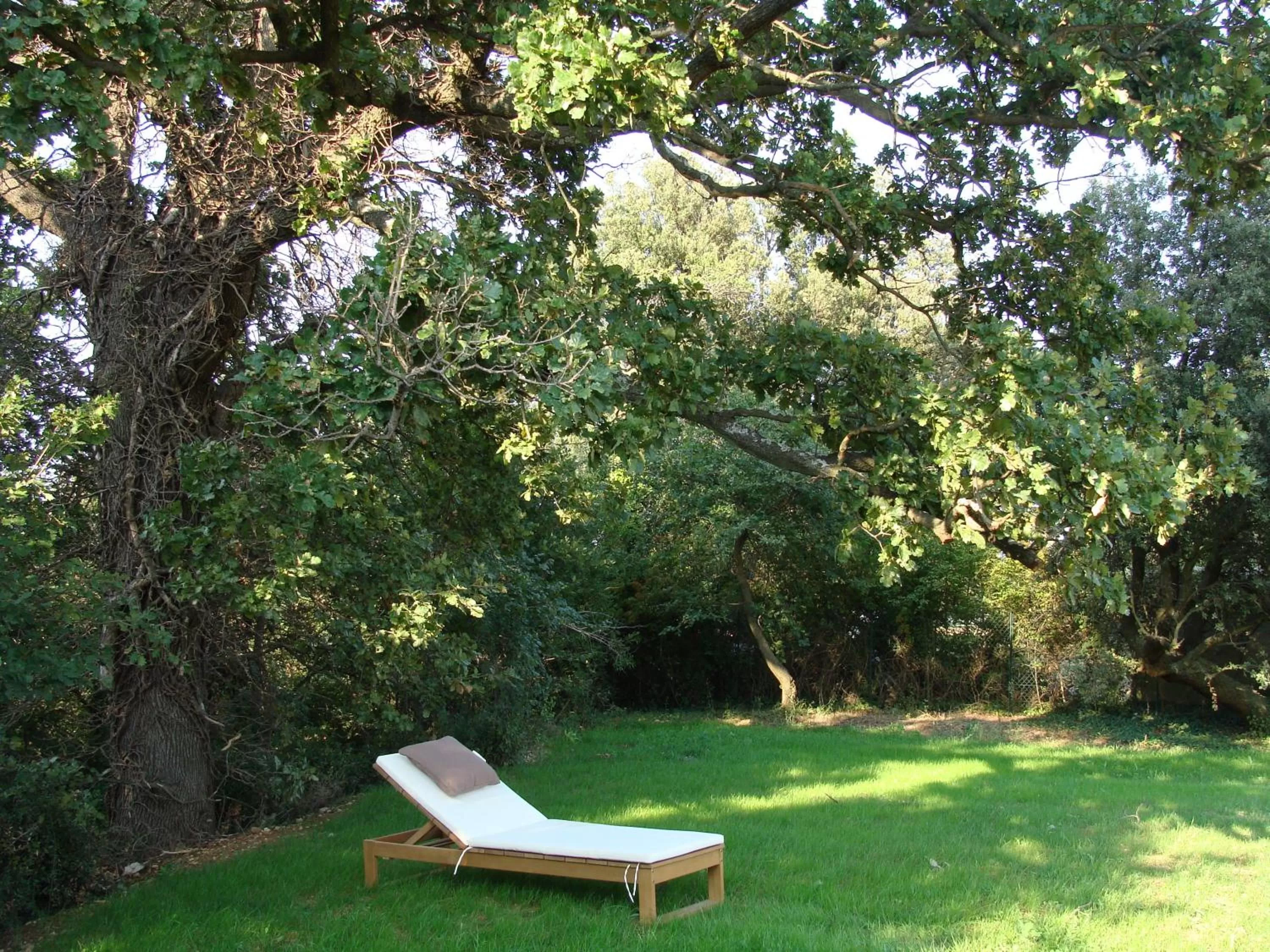 Day, Garden in Mas Notre Dame