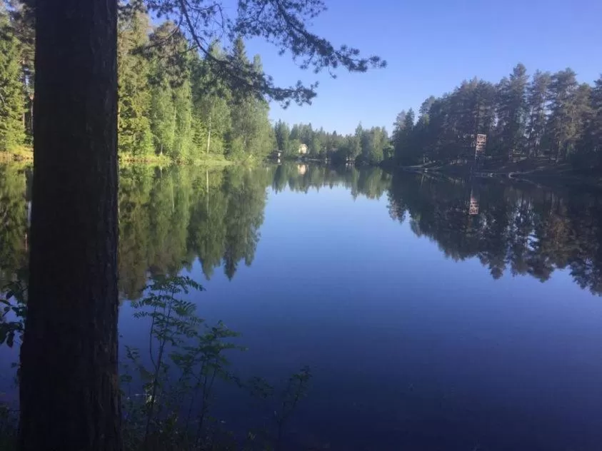 Activities in Hotel Carneval