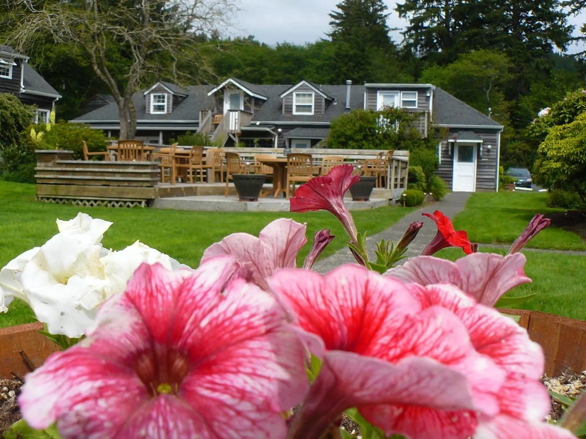 Garden in Ecola Creek Lodge