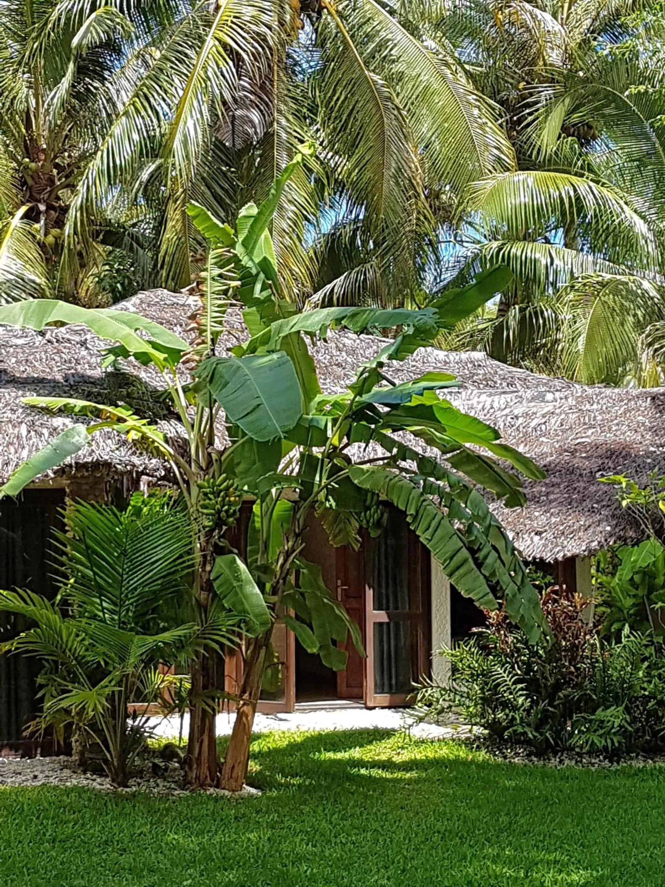 Property Building in Paradise Cove Resort