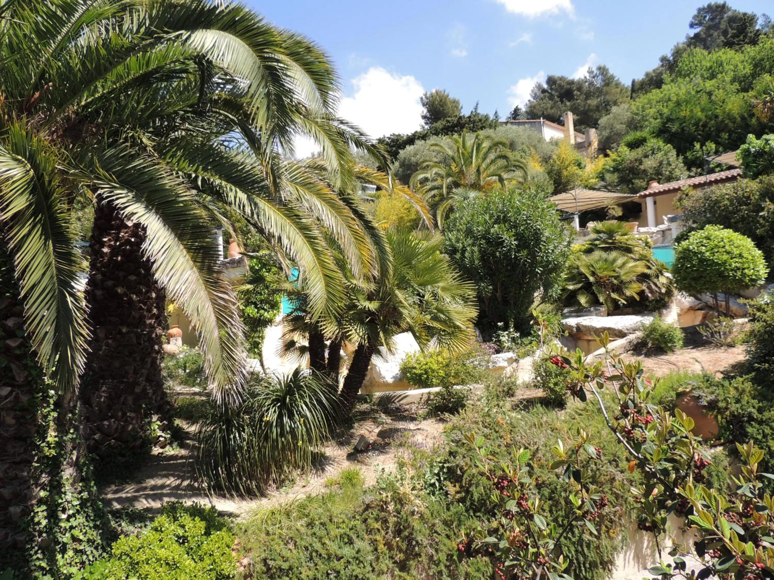 Garden in Royal Cottage Pamela Hotel Cassis