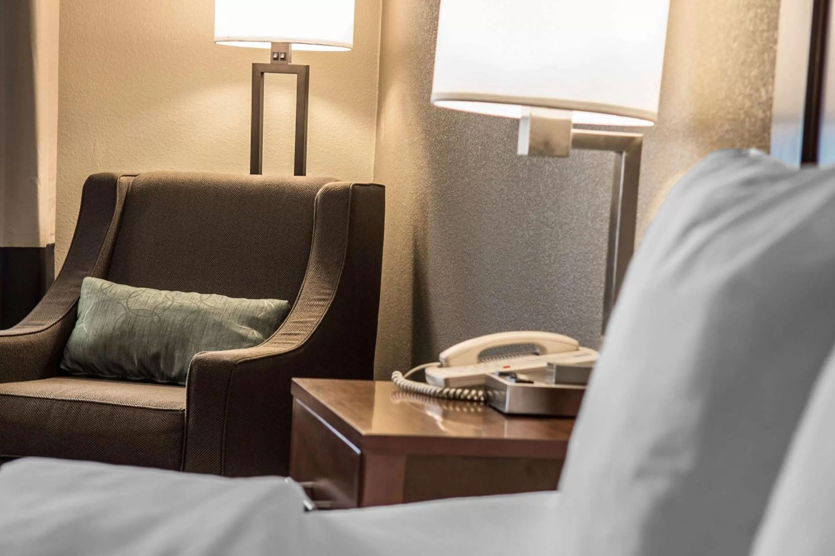 Photo of the whole room in Comfort Inn Edinburg South