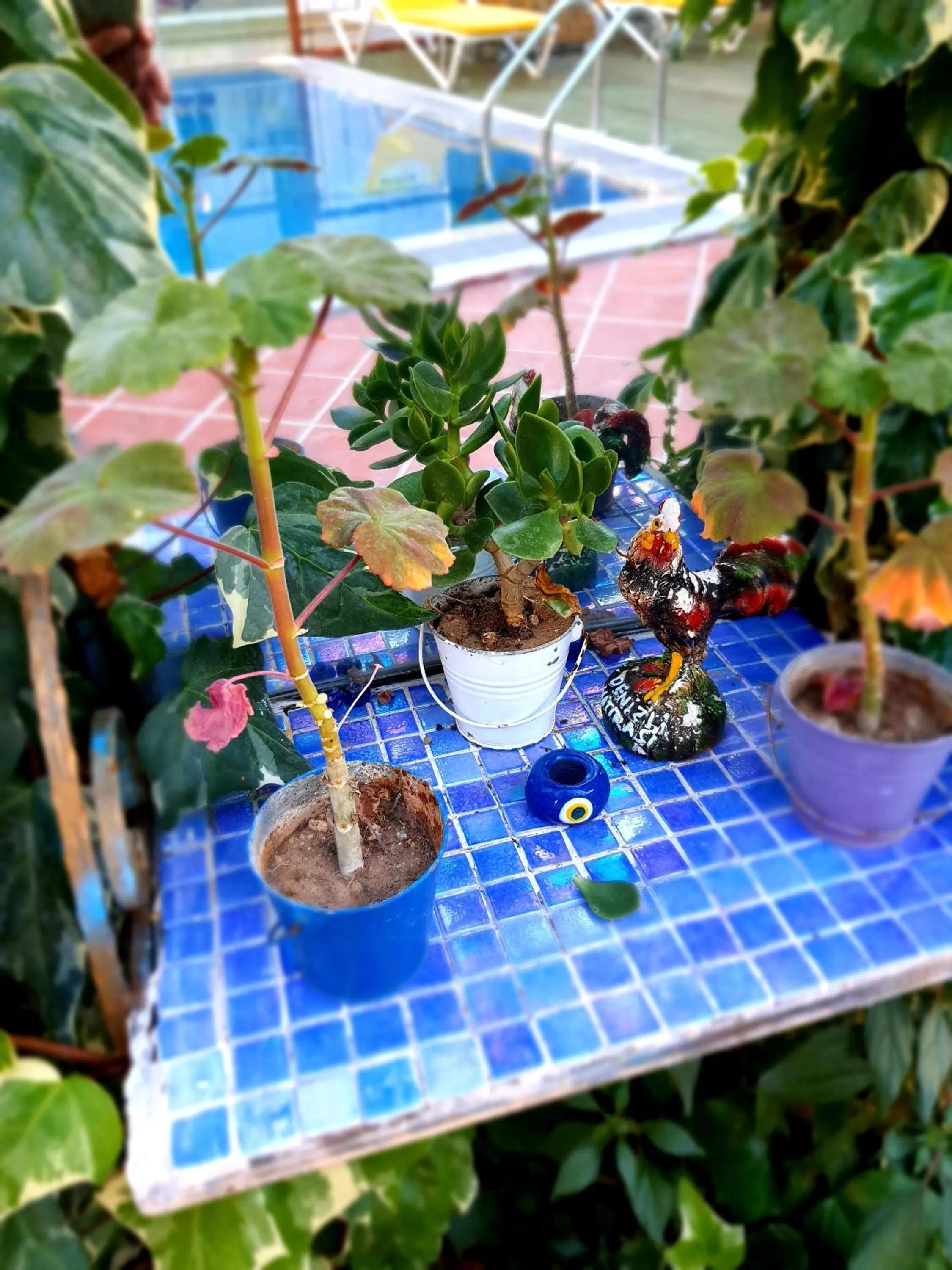 Pool view in Stone House Hotel