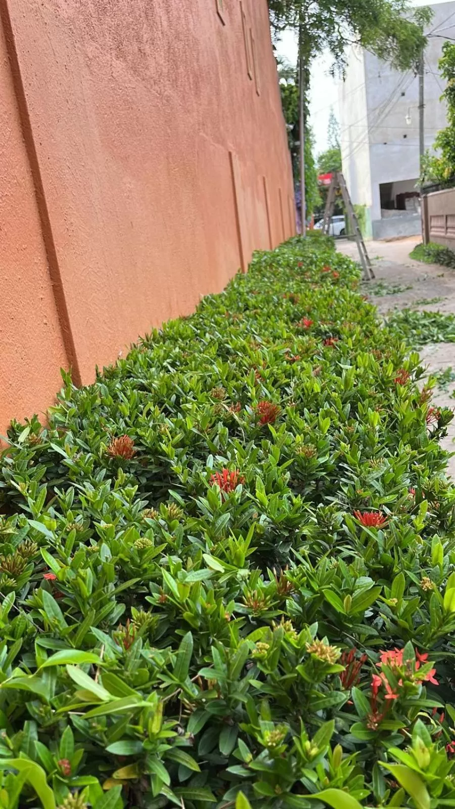 Property building in Dickman Resort "The Boutique Hotel"