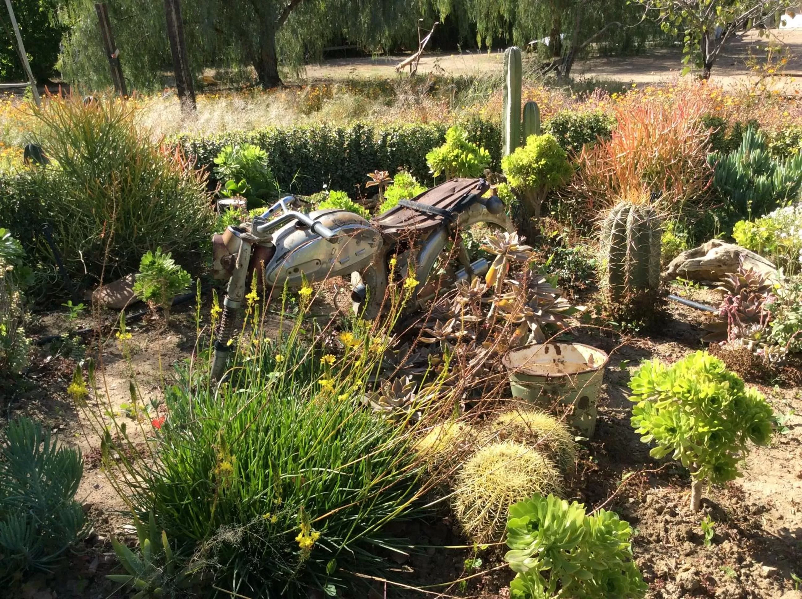 Garden view in Brakdakkie Guest Cottages