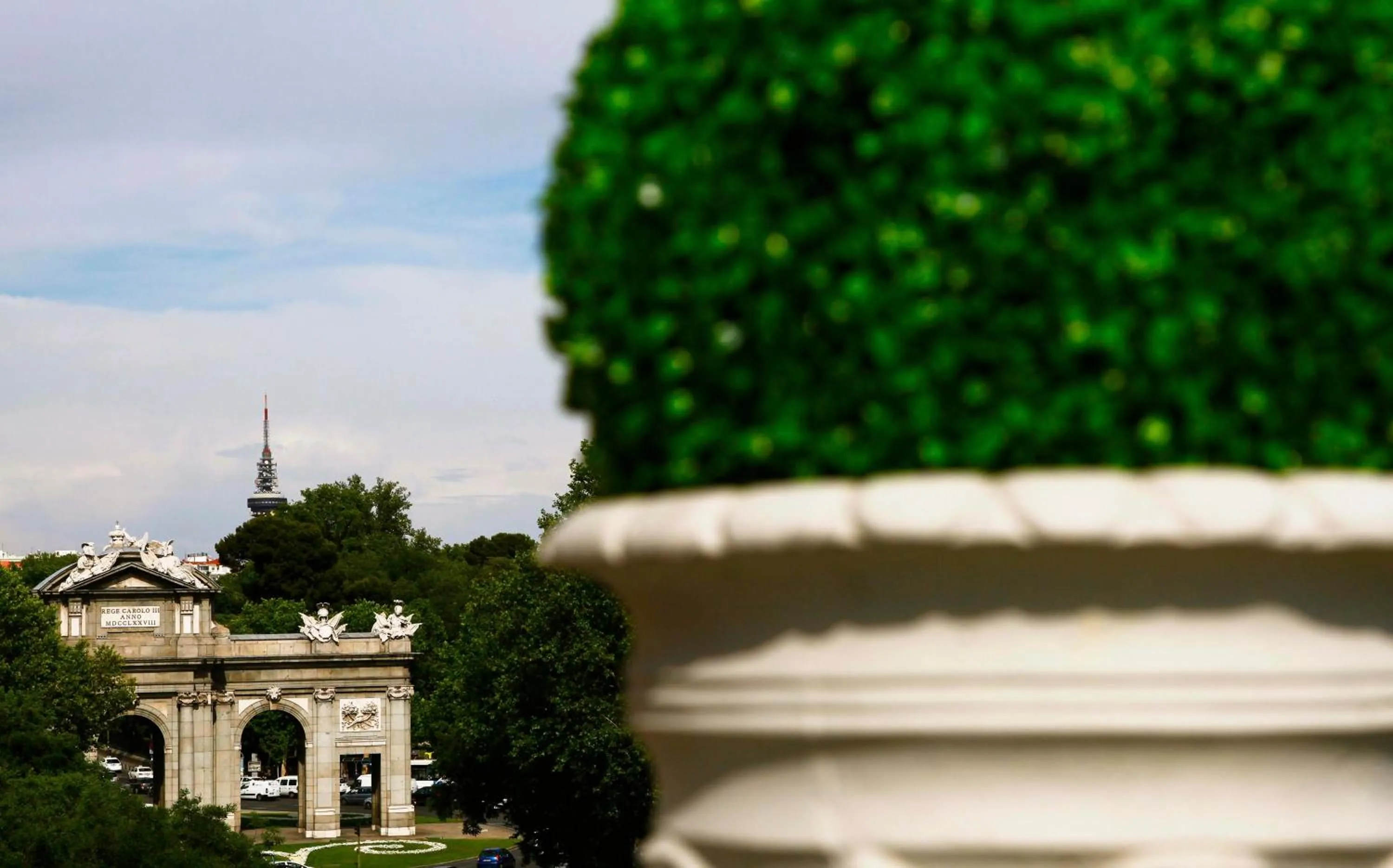 Area and facilities in Boutike Cibeles