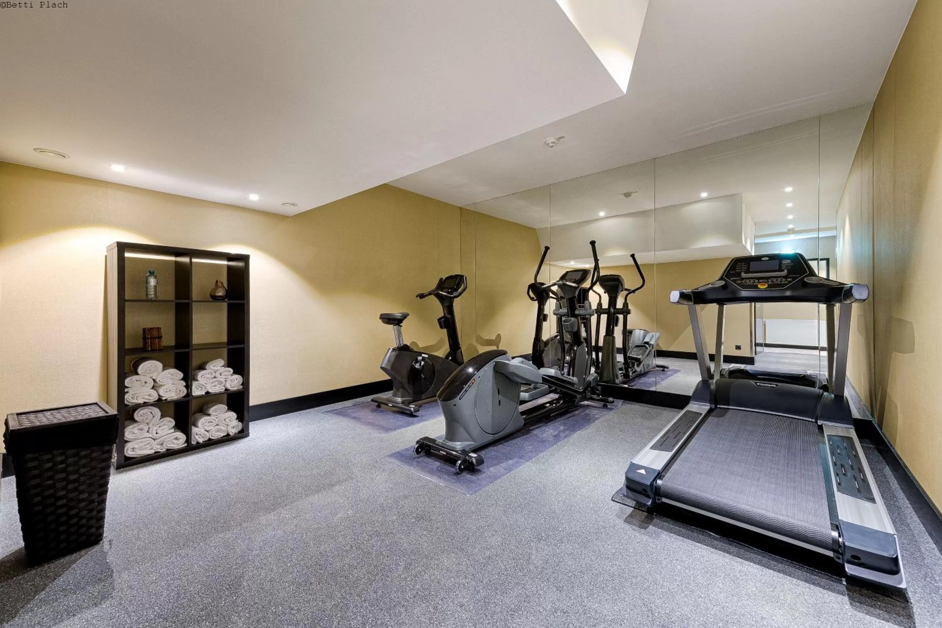 Fitness centre/facilities in Mercure Hotel Raphael Wien