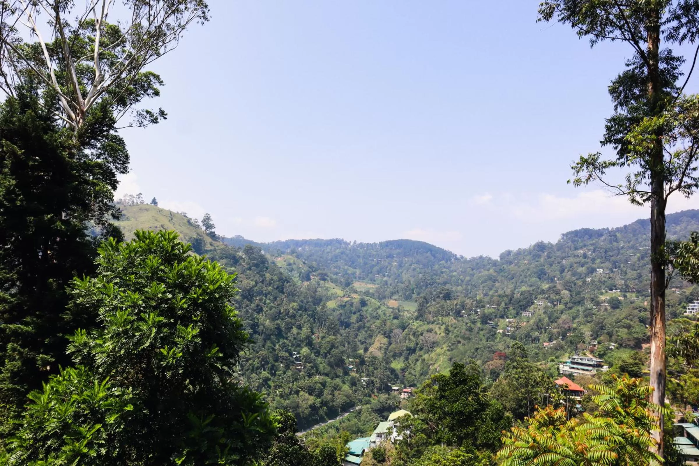 Natural landscape in Duet Hearts