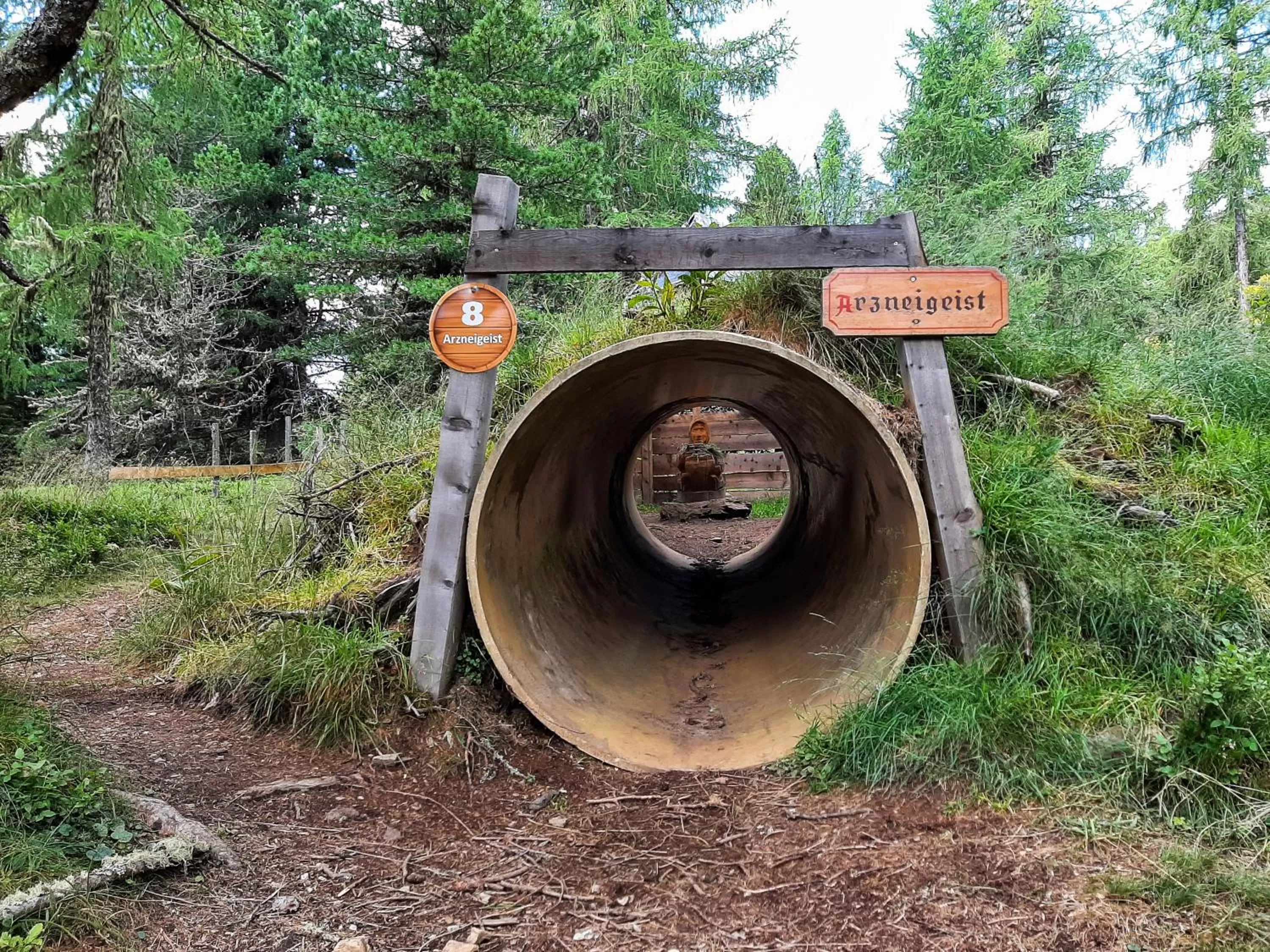 Hiking in JUFA Hotel Nockberge