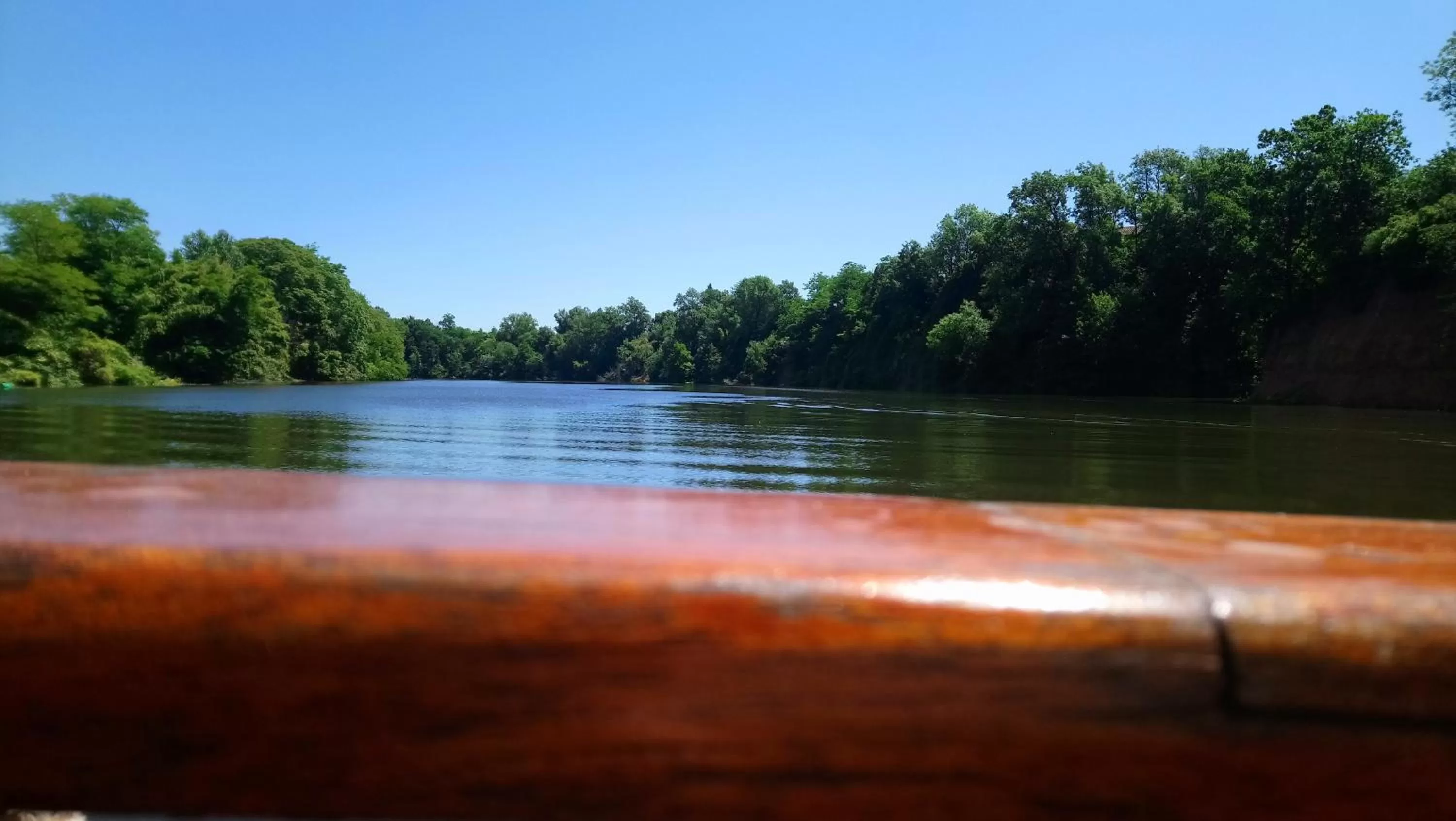 Natural landscape in Fleurs de Cosmos