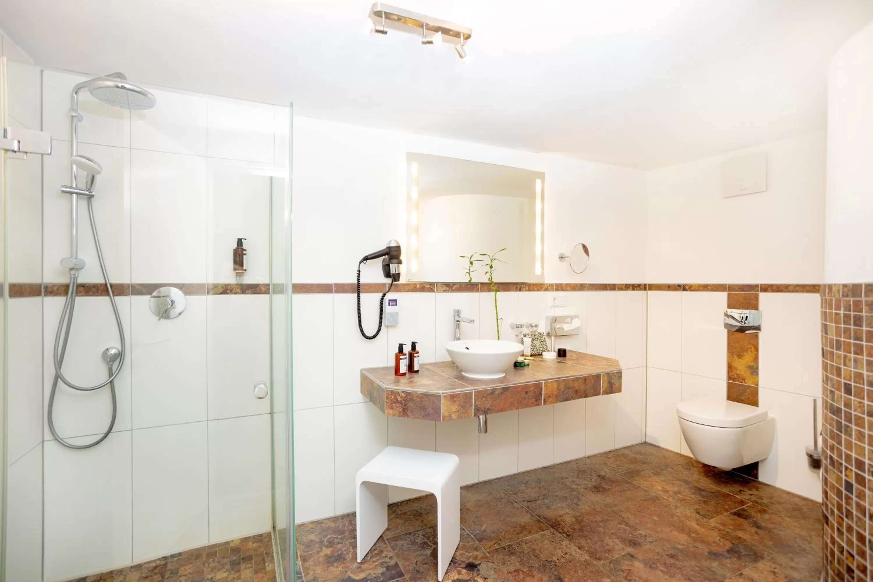 Shower in Romantik Hotel Scheelehof Stralsund