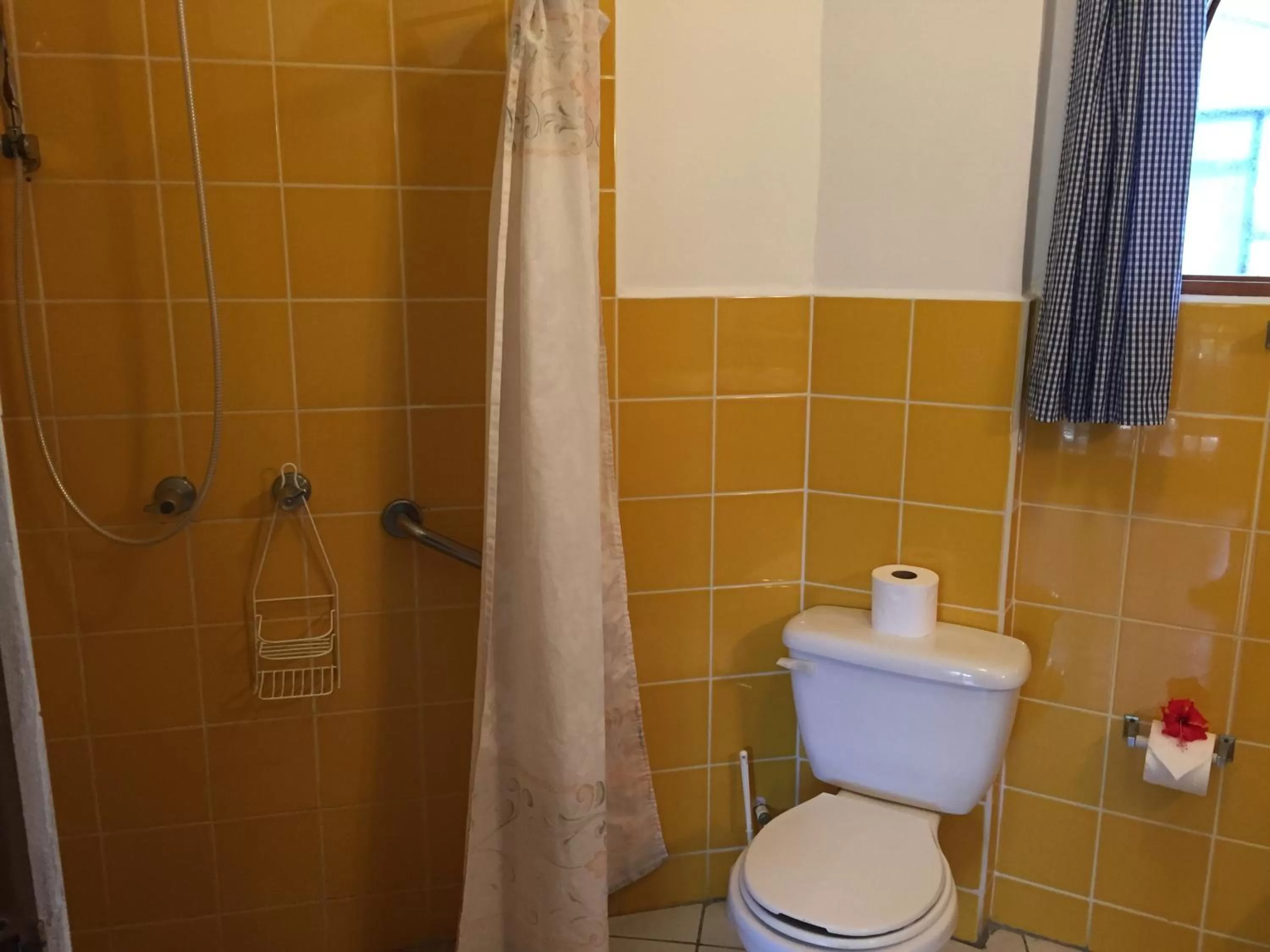 Toilet in La Perlita