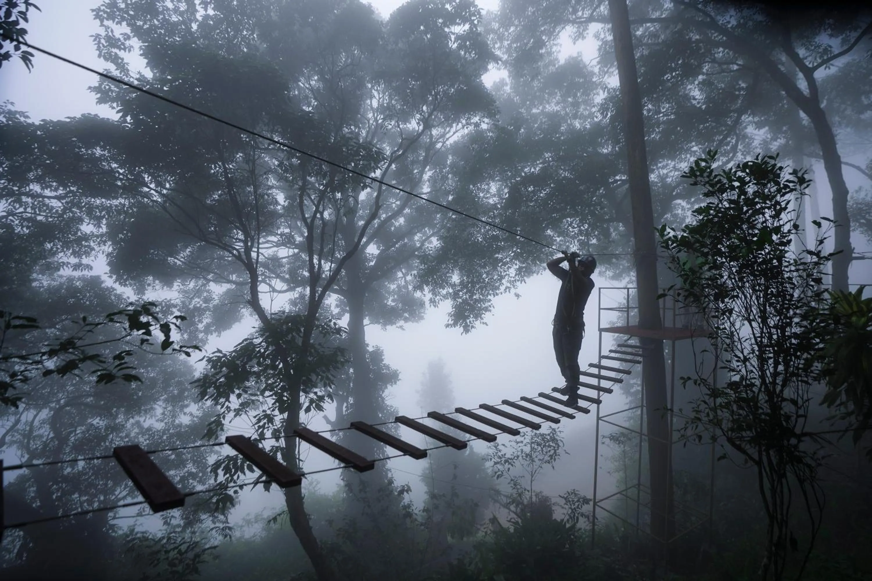 Activities in Tea Valley Resort, Munnar