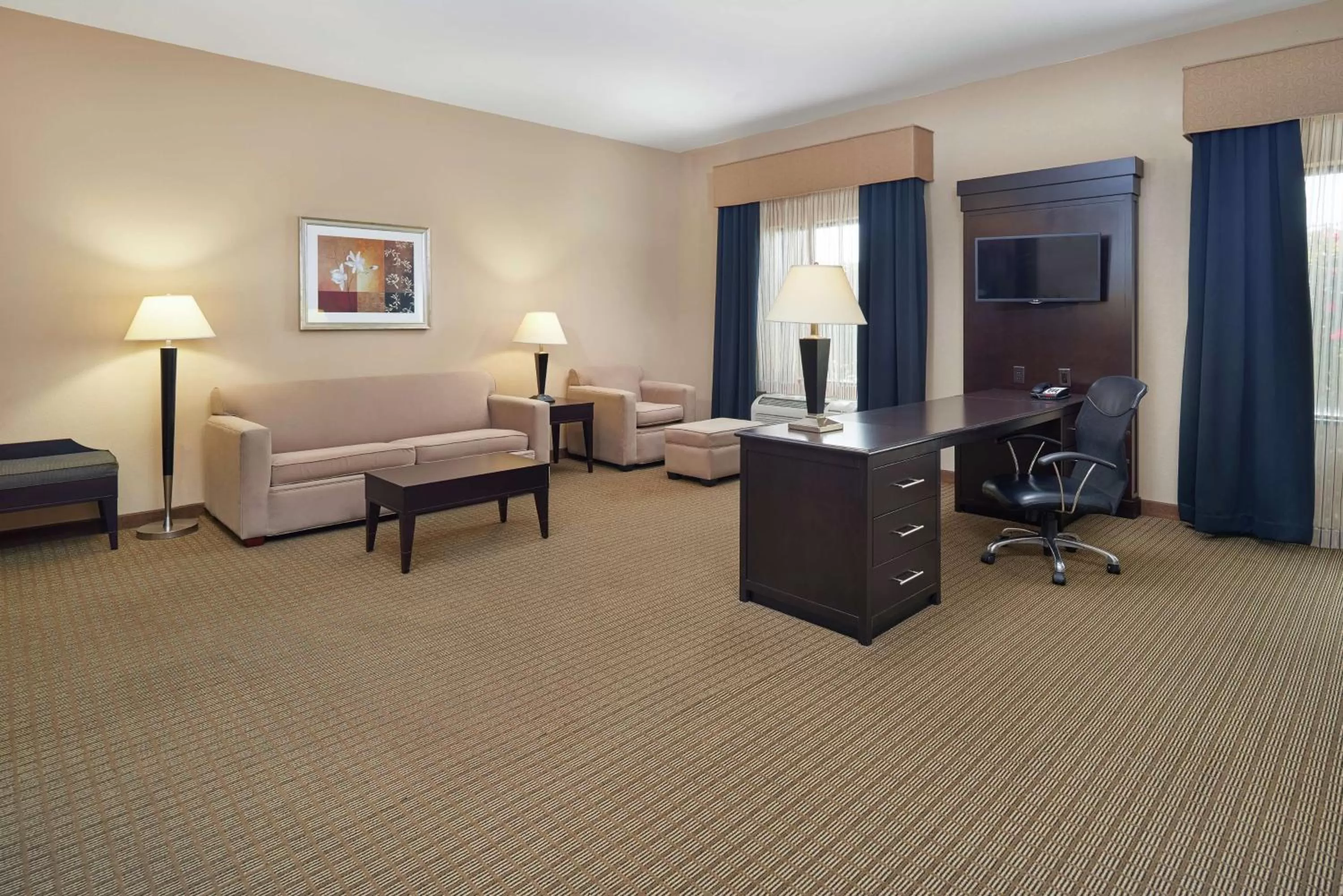 Living room in Hampton Inn & Suites Decatur