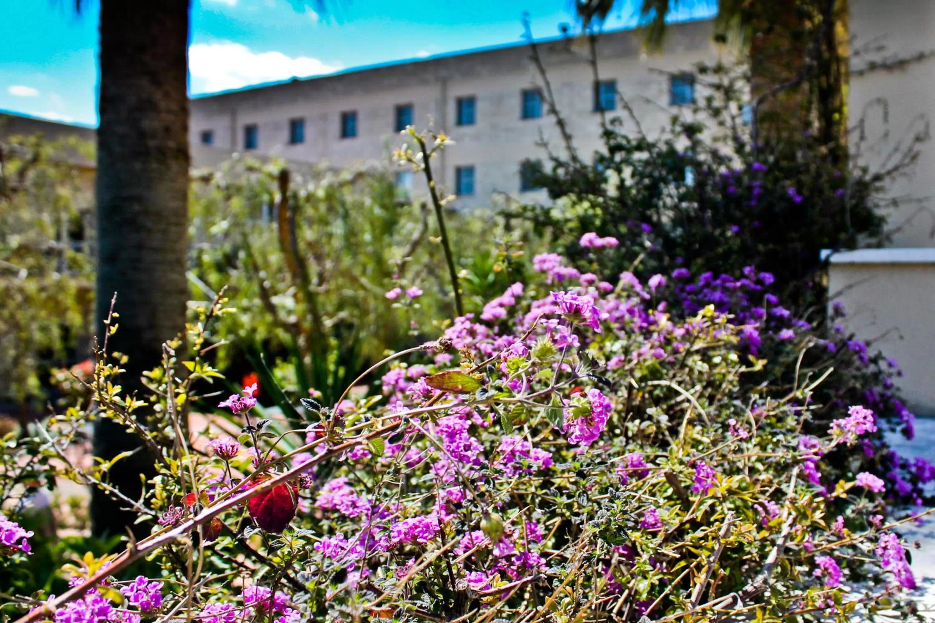 Garden in Hotel Majesty Bari