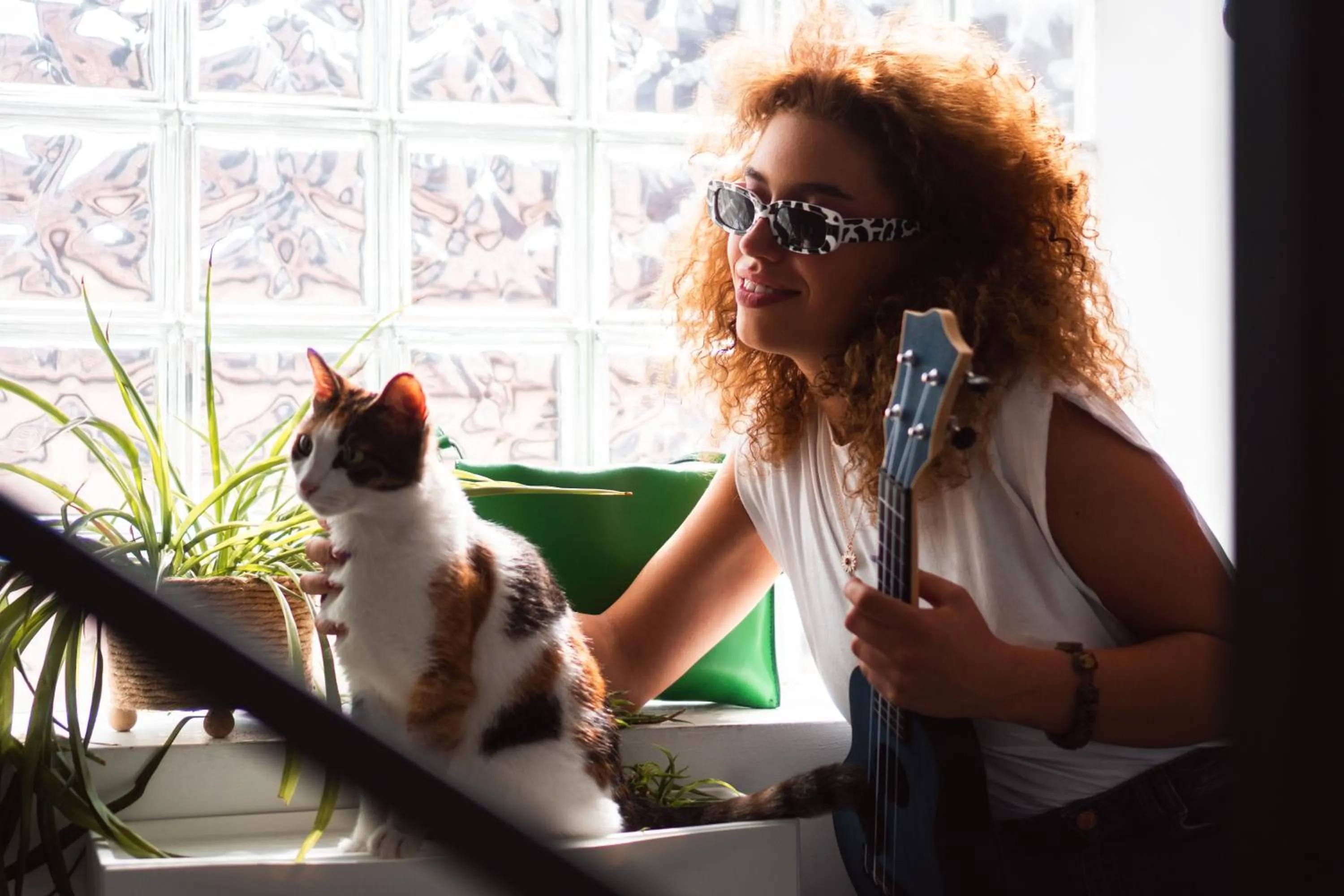 Pets in Good People Design Hostel