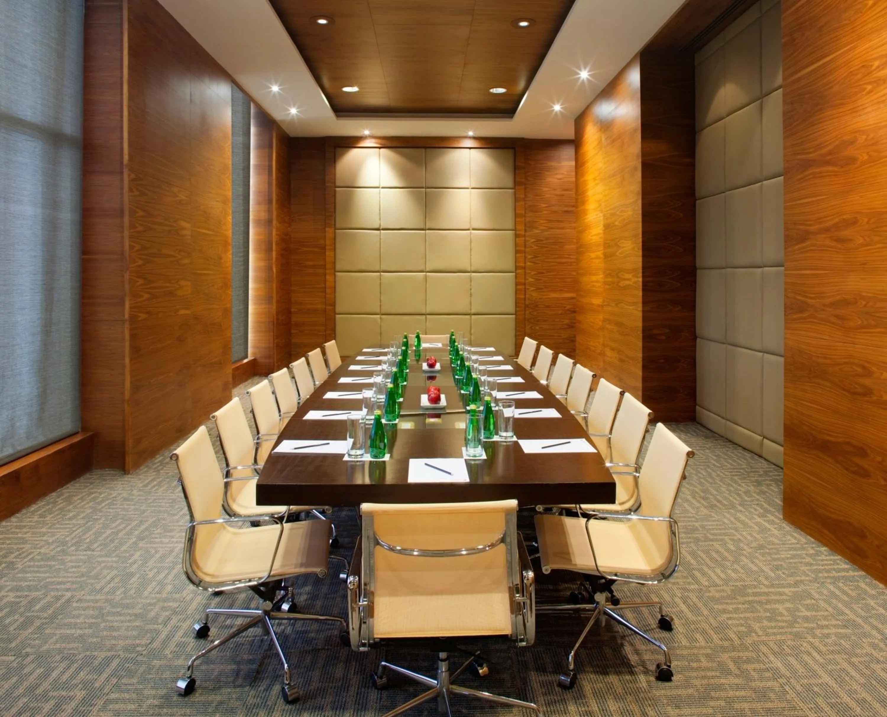 Business facilities in Radisson Blu Hotel New Delhi Dwarka