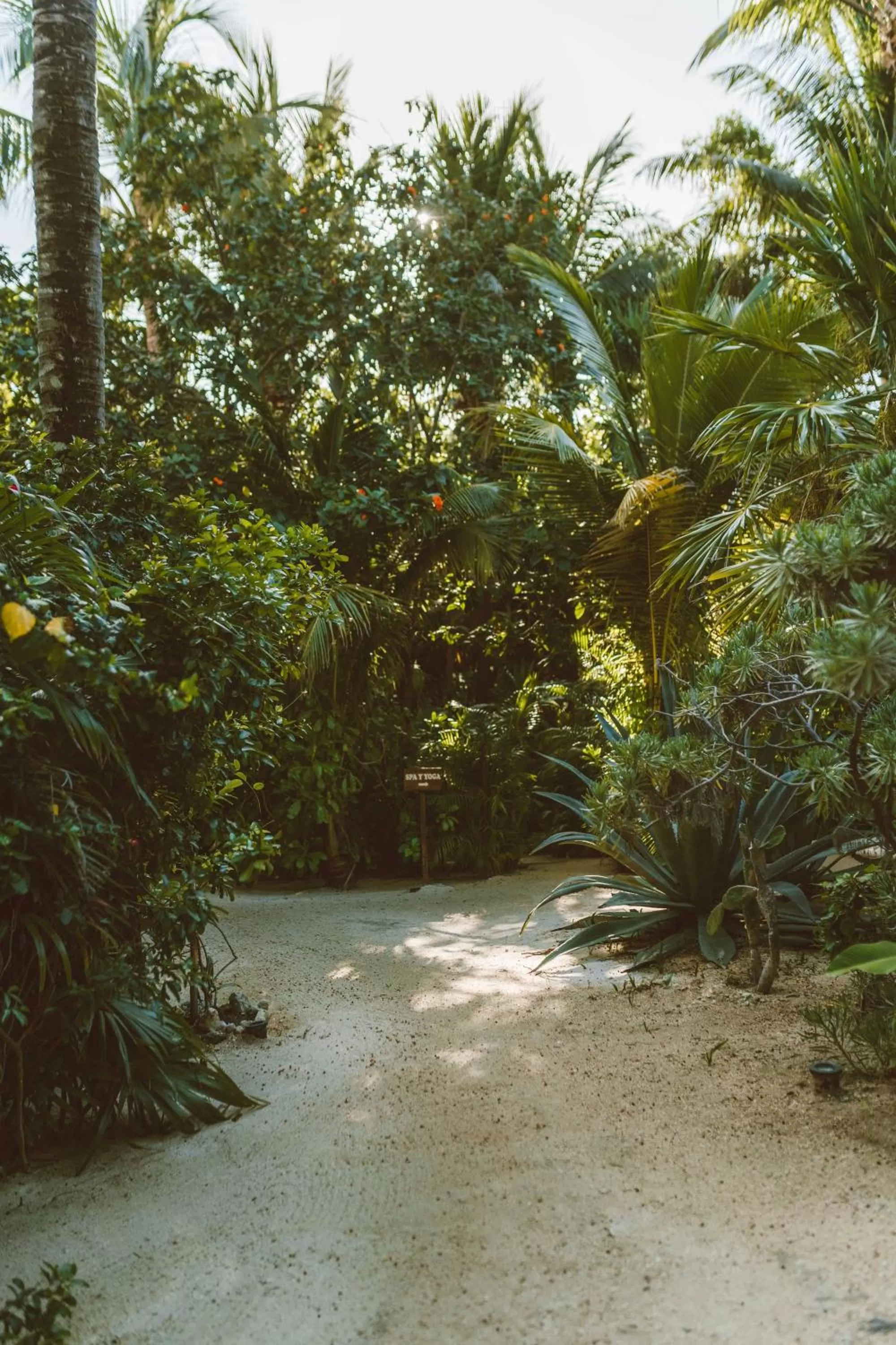 Natural landscape in Jashita Hotel