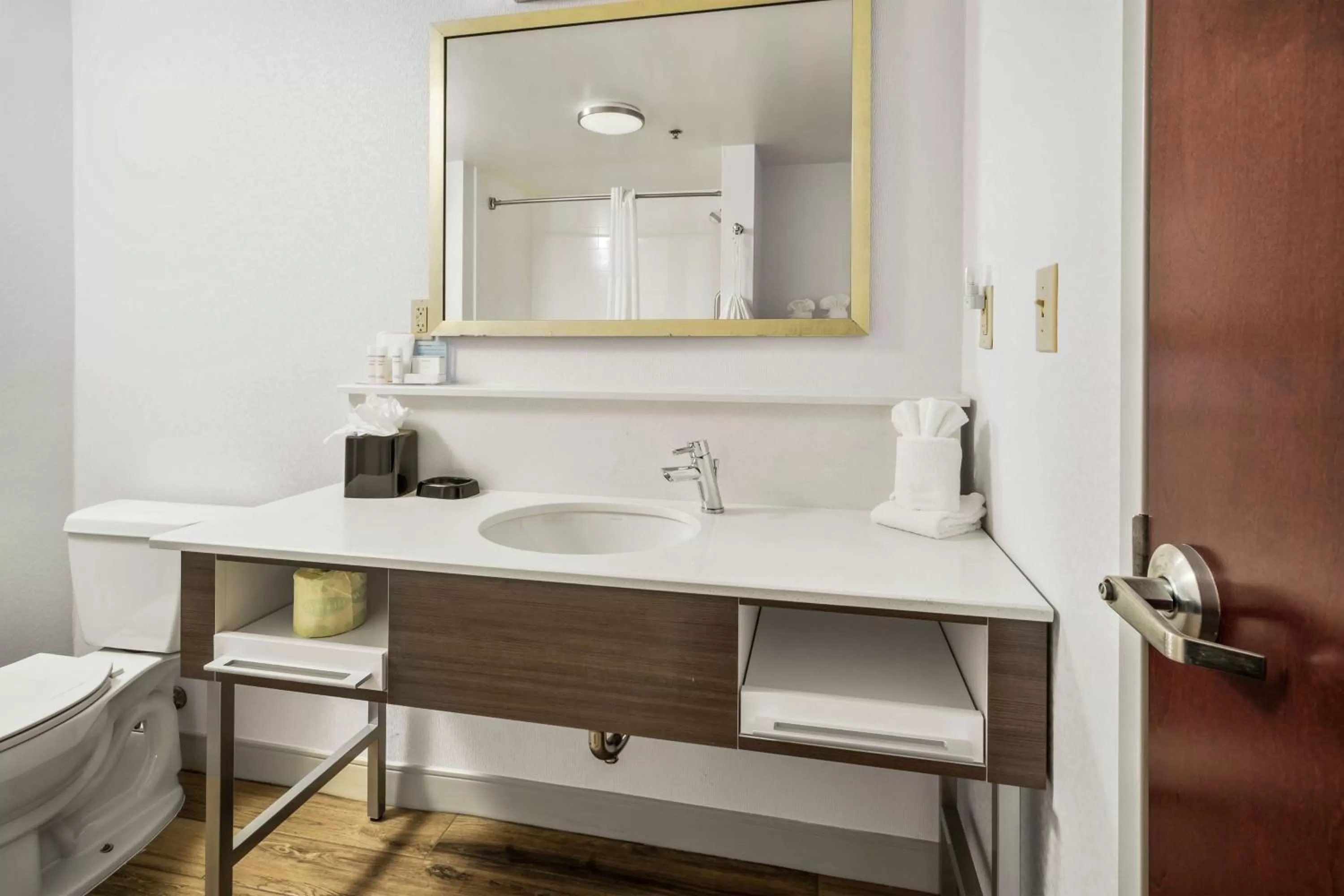 Bathroom in Hampton Inn Wilson Downtown