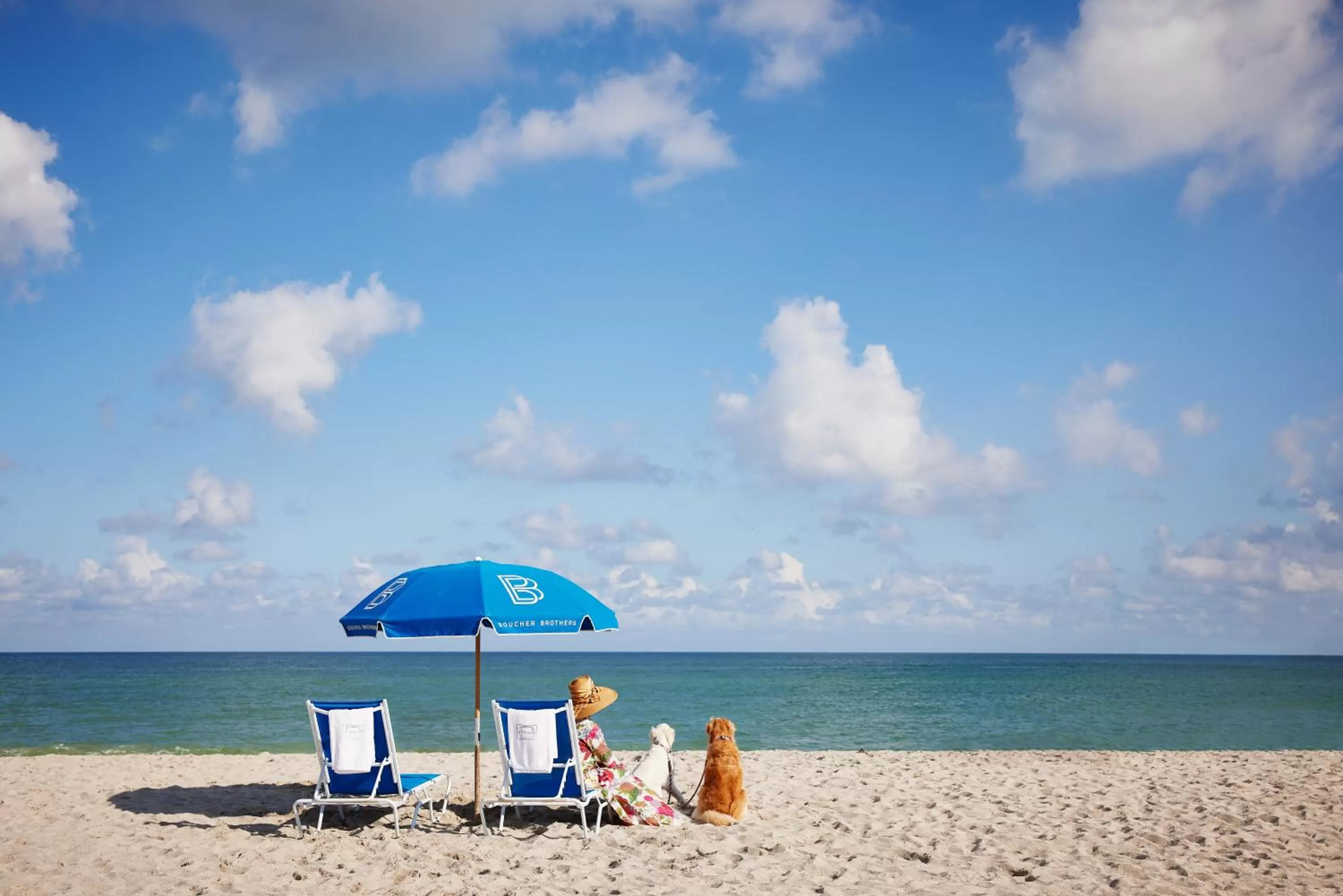 Beach in The Betsy Hotel, South Beach