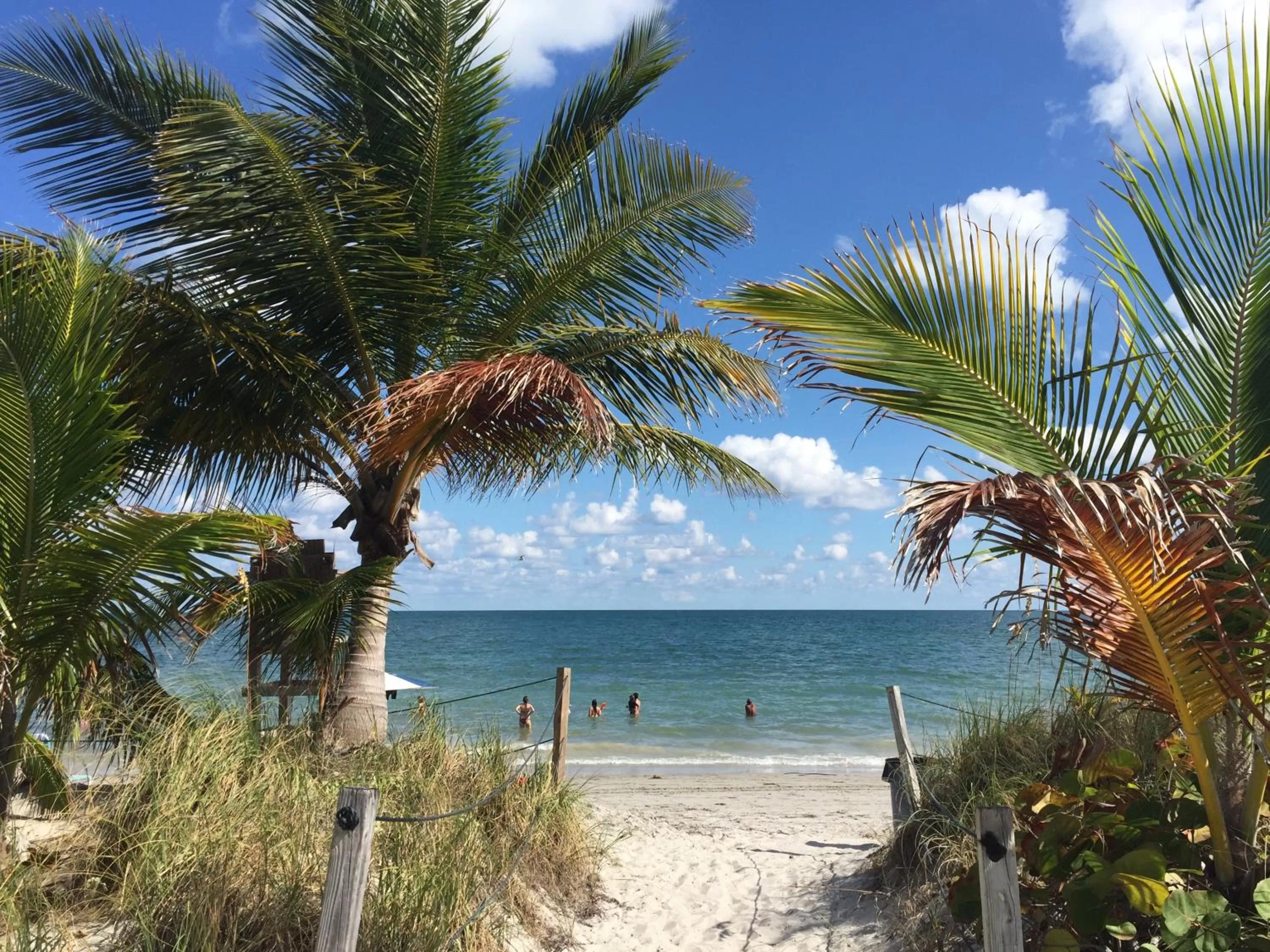 Nearby landmark in Beach Haus Key Biscayne Contemporary Apartments