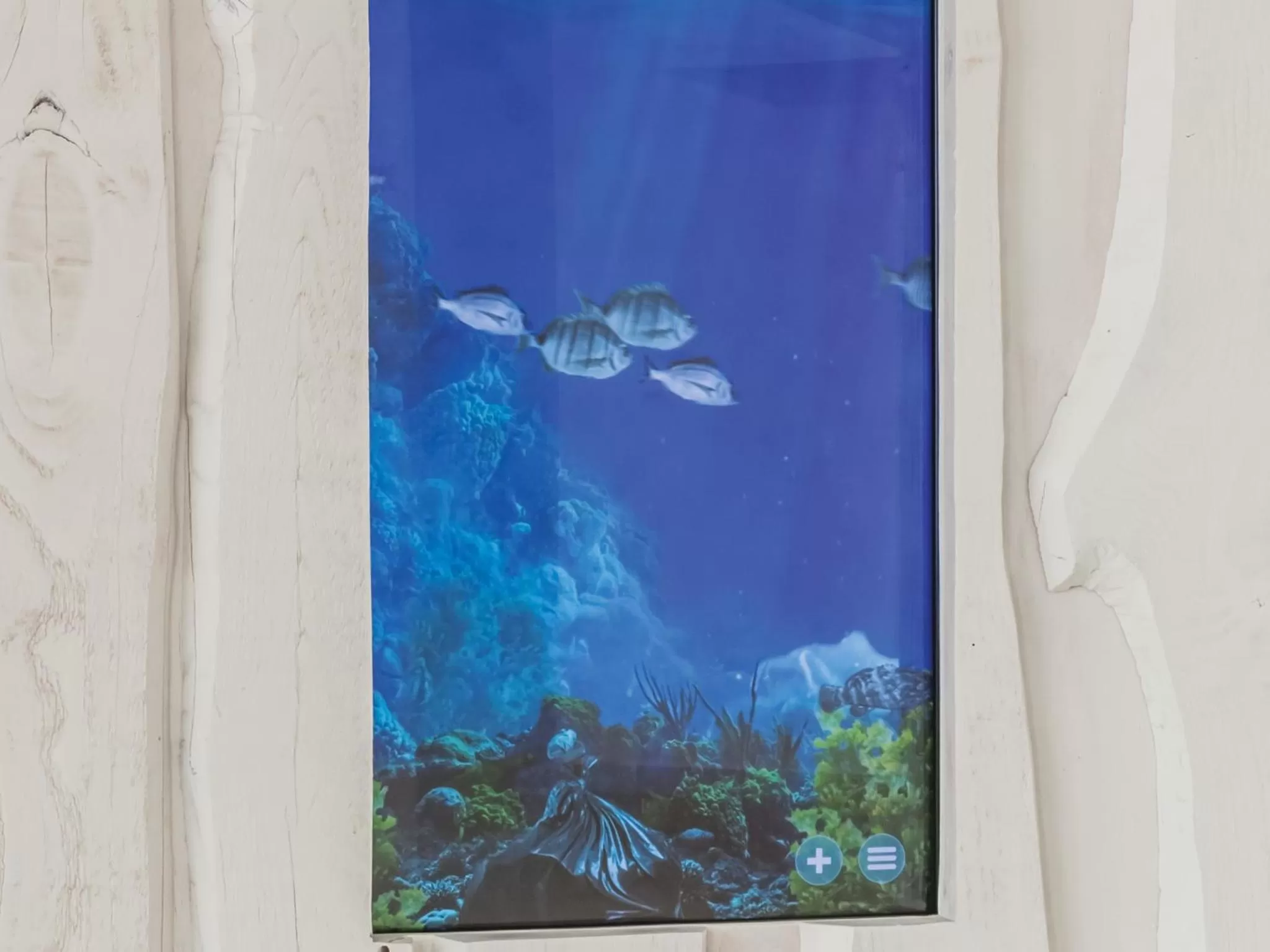 Entertainment in MH Peniche