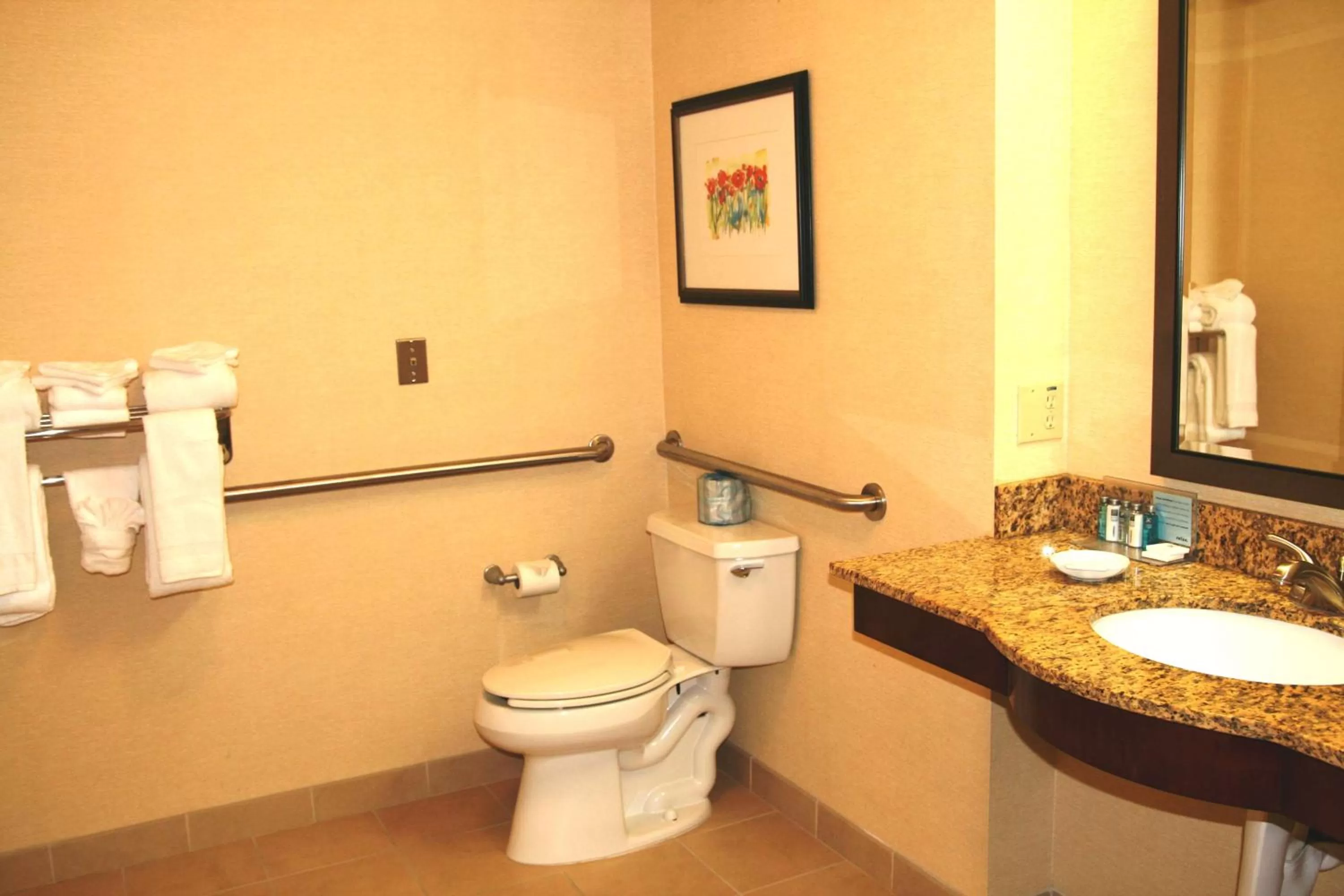 Bathroom in Hampton Inn & Suites Lancaster