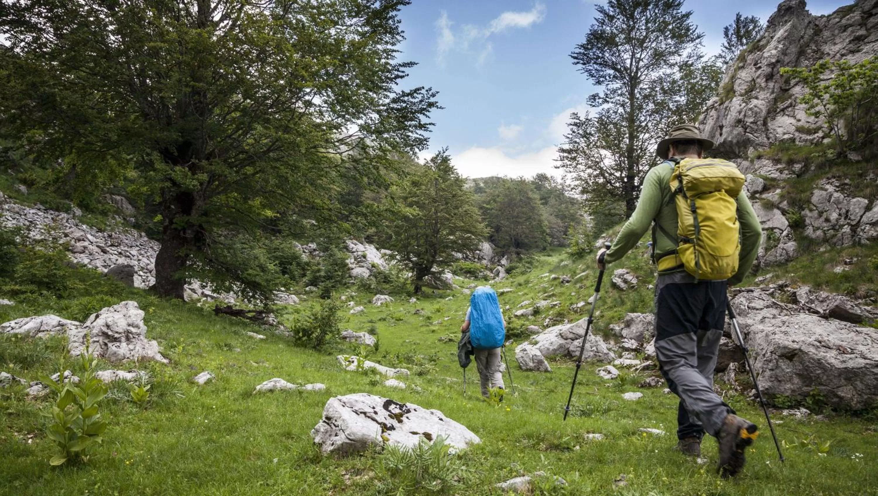 Nearby landmark in Stardust Motel Wallace
