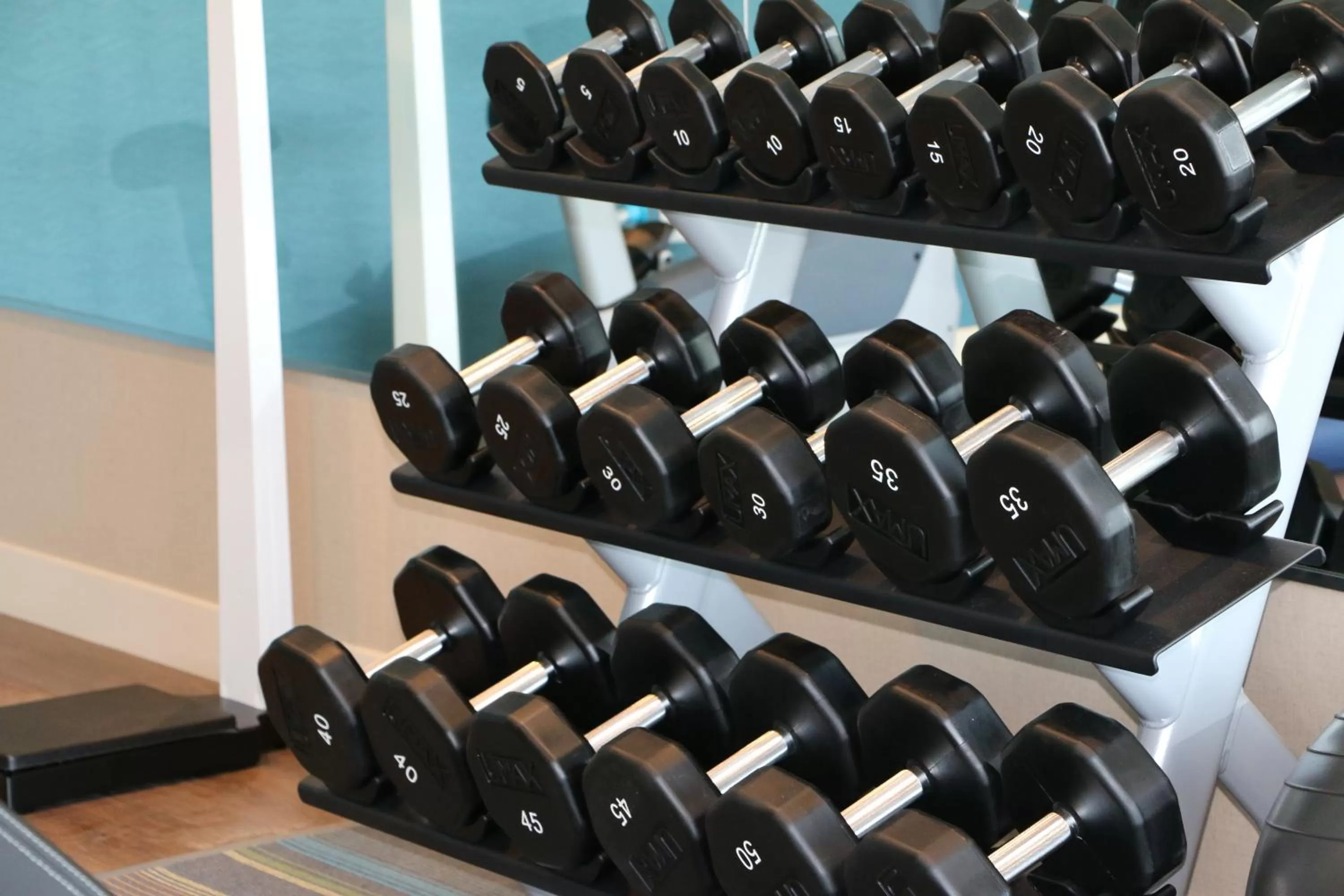 Fitness centre/facilities in Holiday Inn Express & Suites - Hendersonville SE - Flat Rock by IHG