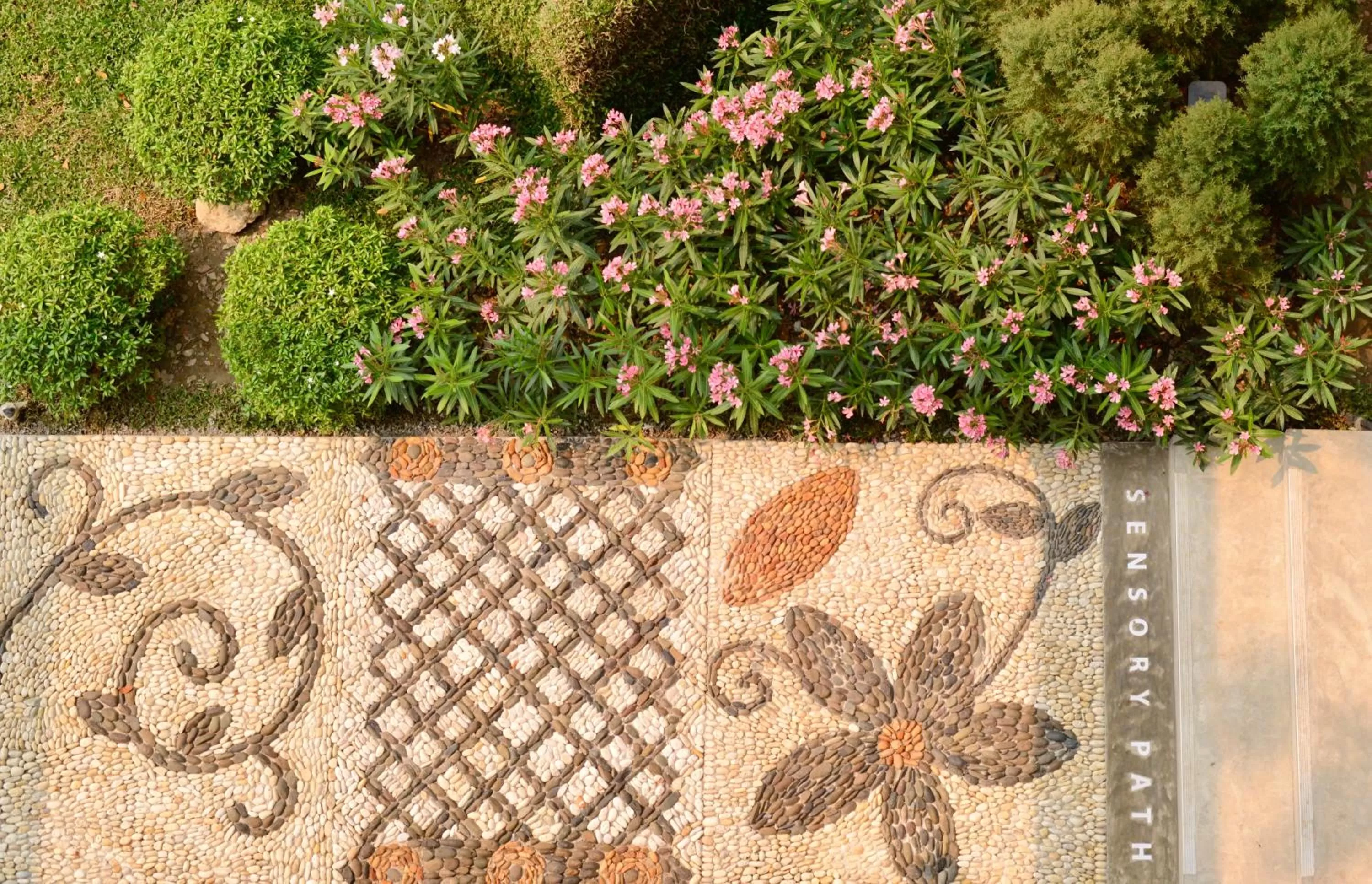 Garden in Proud Phu Fah Muang Chiang Mai