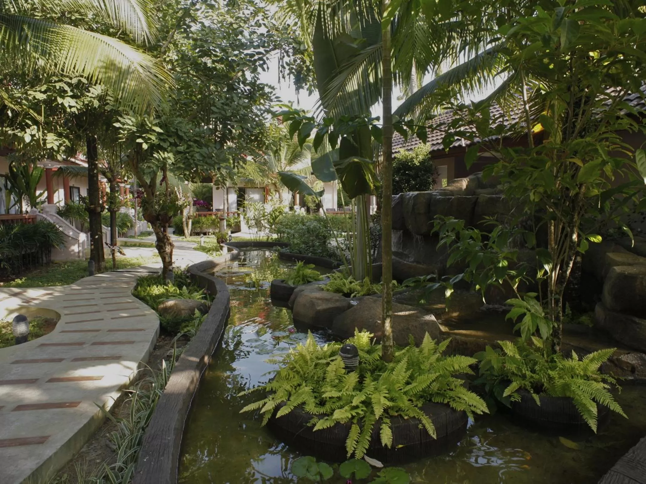 Garden in Fanari Khaolak Resort - Courtyard SHA Extra Plus