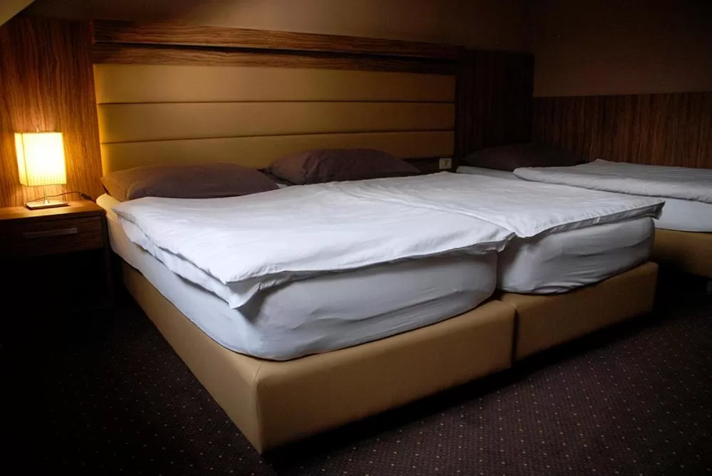 Bed in Hotel Opara