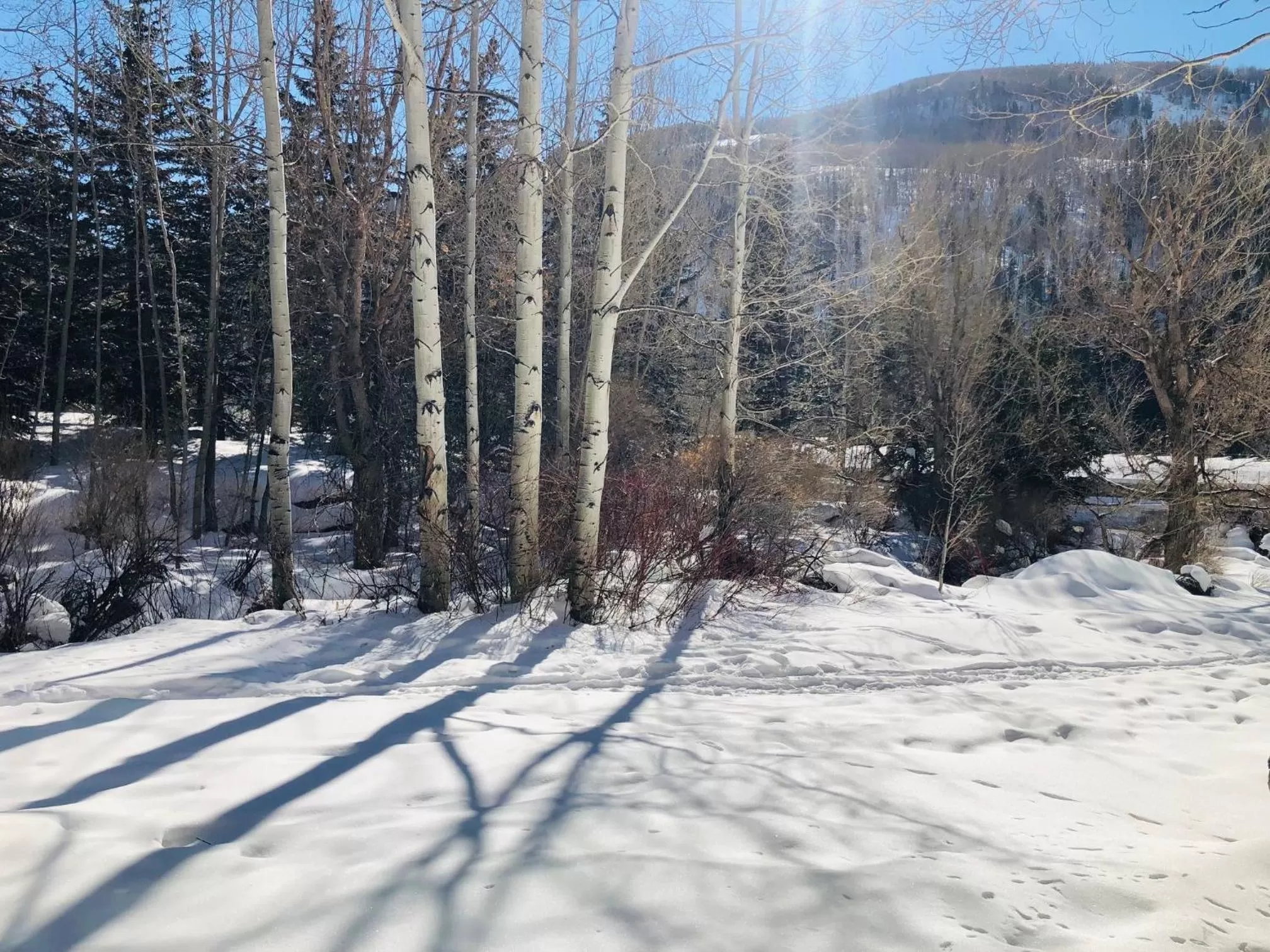 Inner courtyard view in Simba Run Vail Condominiums