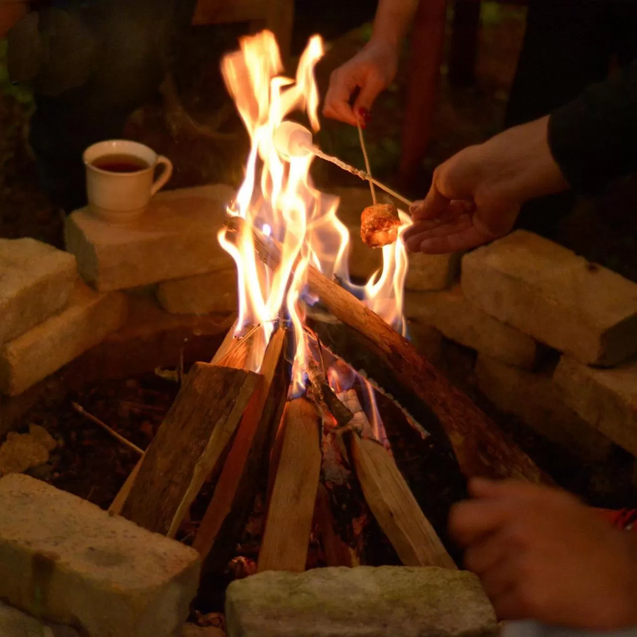 Garden in Dil Hill by Sam