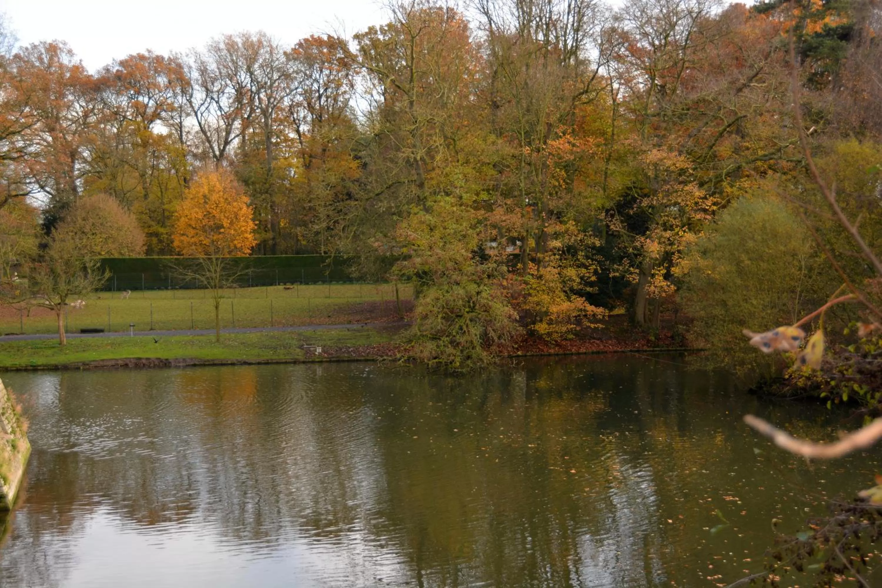 Landmark view in Haras des Chartreux