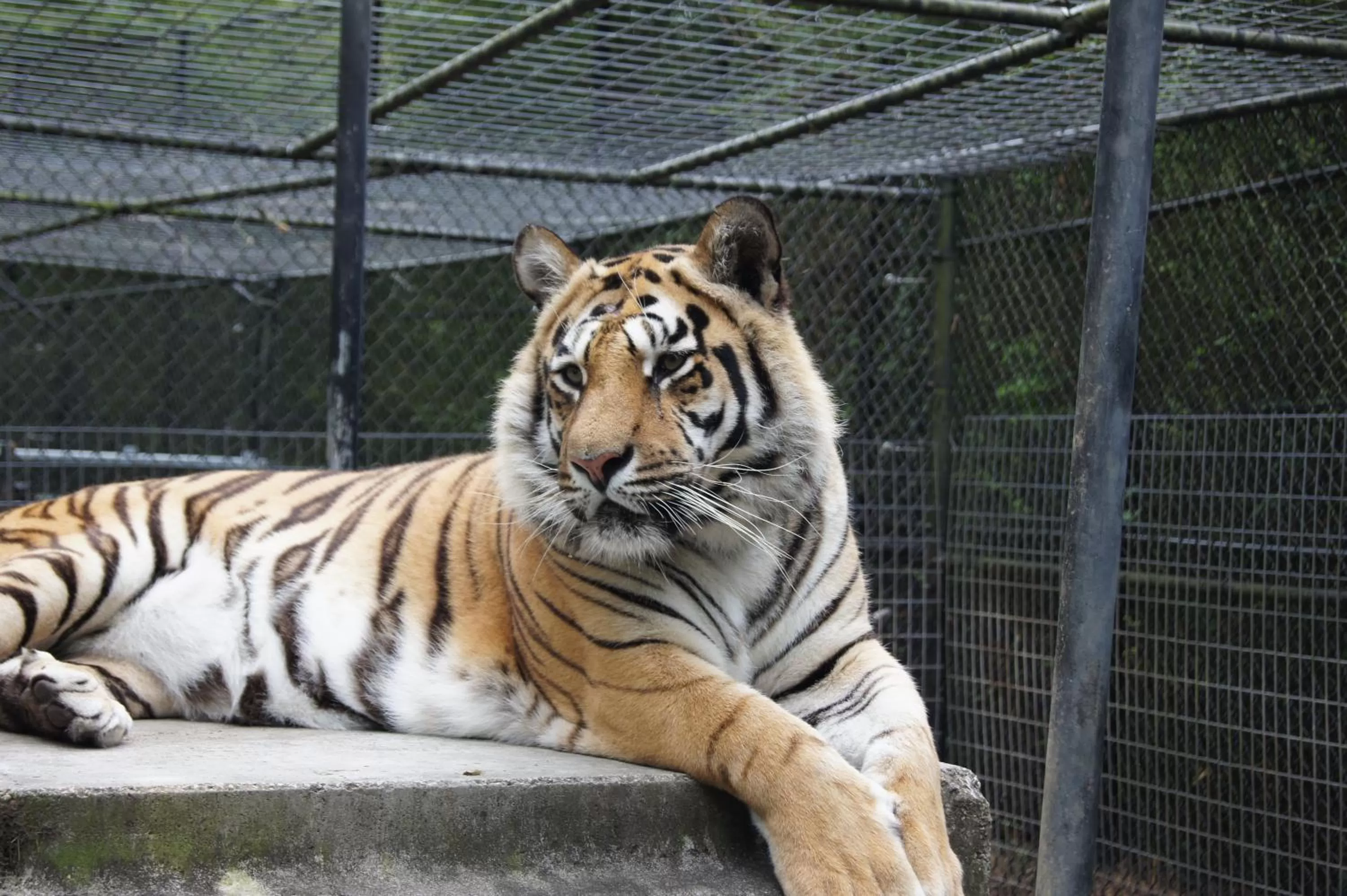 Nearby landmark in Candlewood Suites - McDonough by IHG